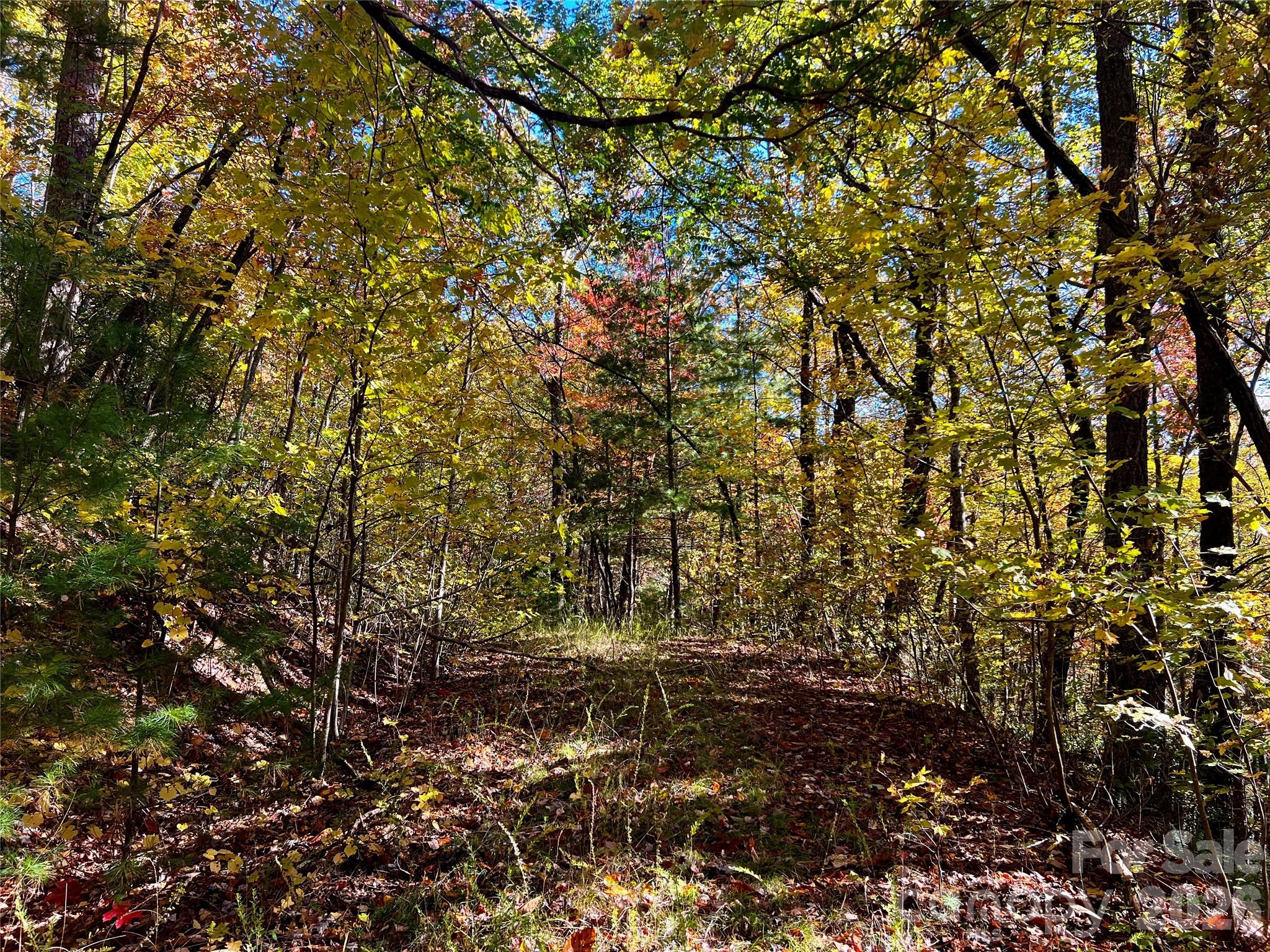 Tbd Old Toxaway Road Property Photo 18