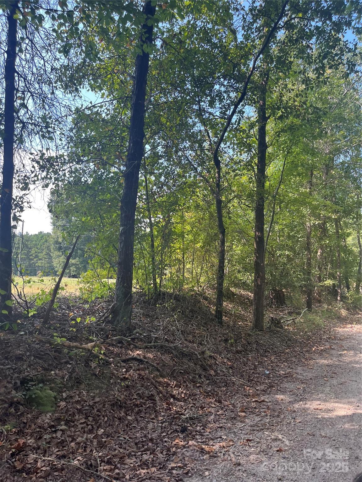 00 Bath Lane Property Photo 3