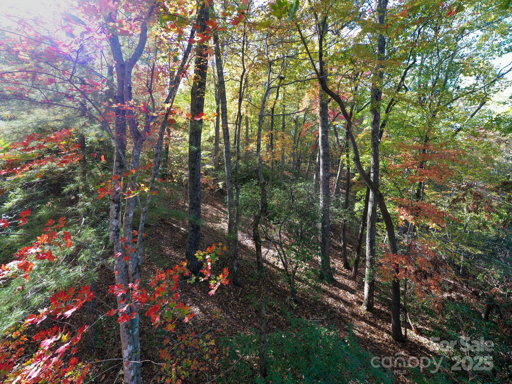 2002 Song Breeze Trail Property Photo 9