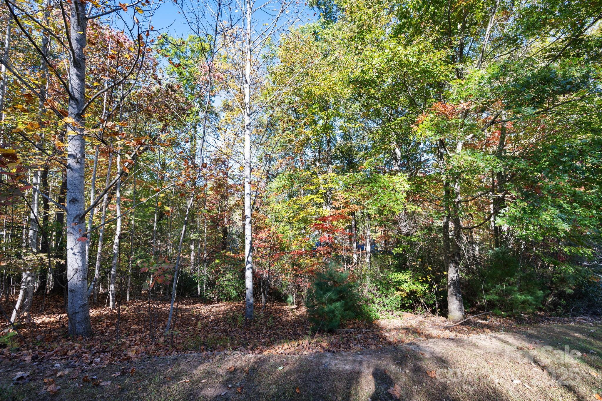 2002 Song Breeze Trail Property Photo 10