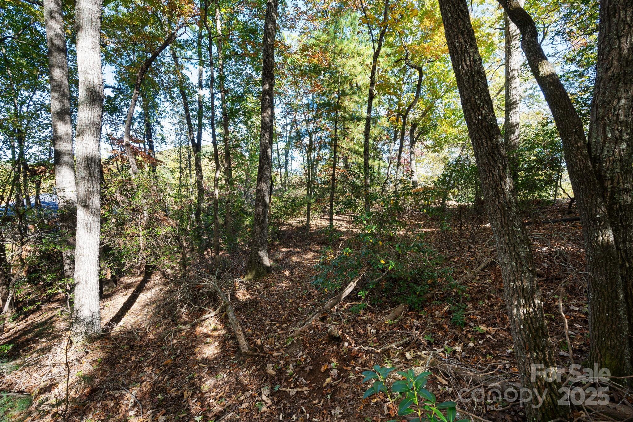 2002 Song Breeze Trail Property Photo 11
