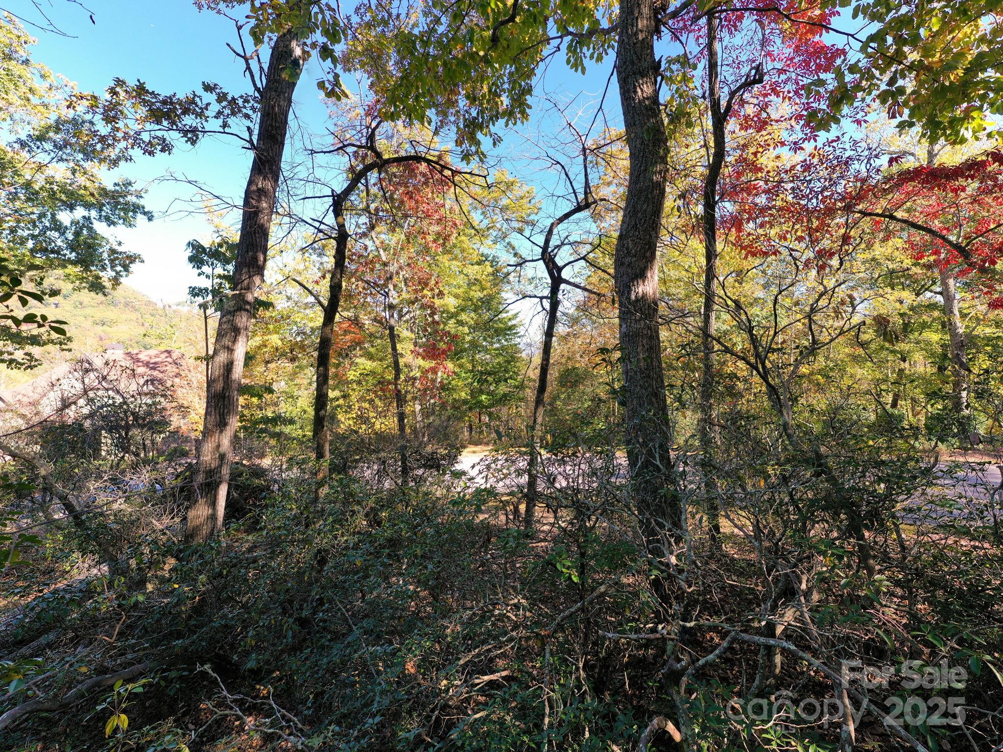 2002 Song Breeze Trail Property Photo 14