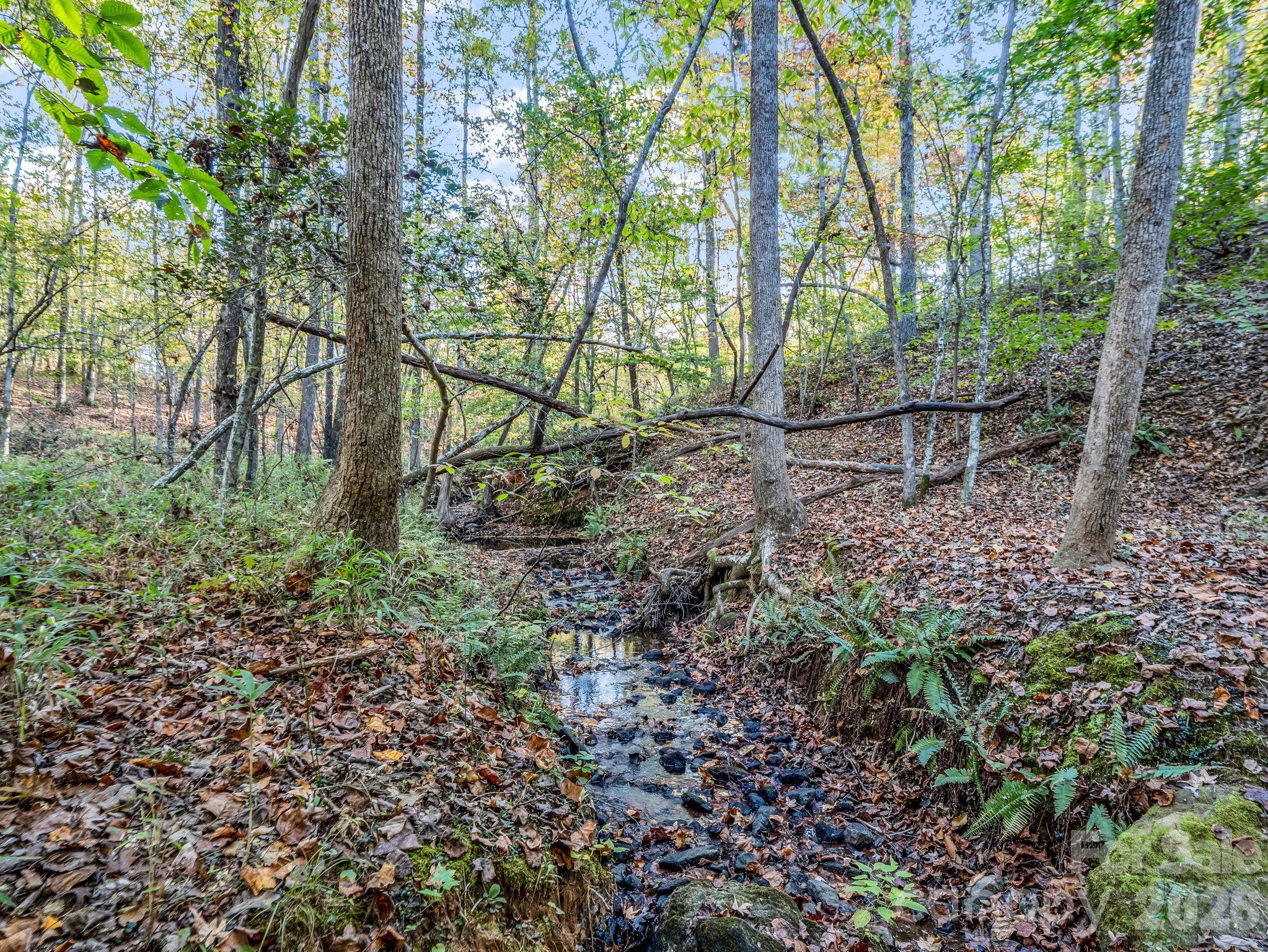 663 Landrum Road Property Photo 27