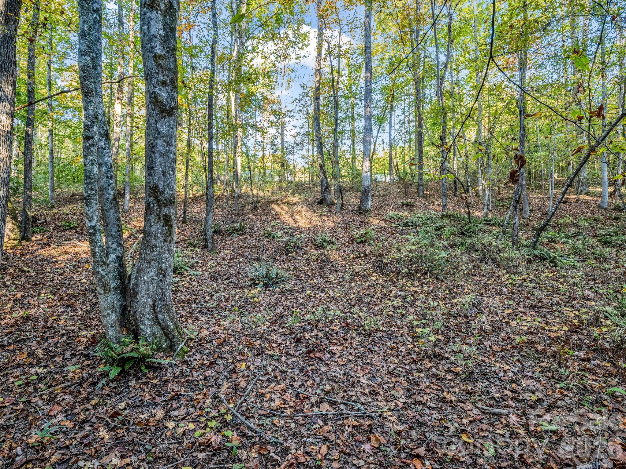 663 Landrum Road Property Photo 29