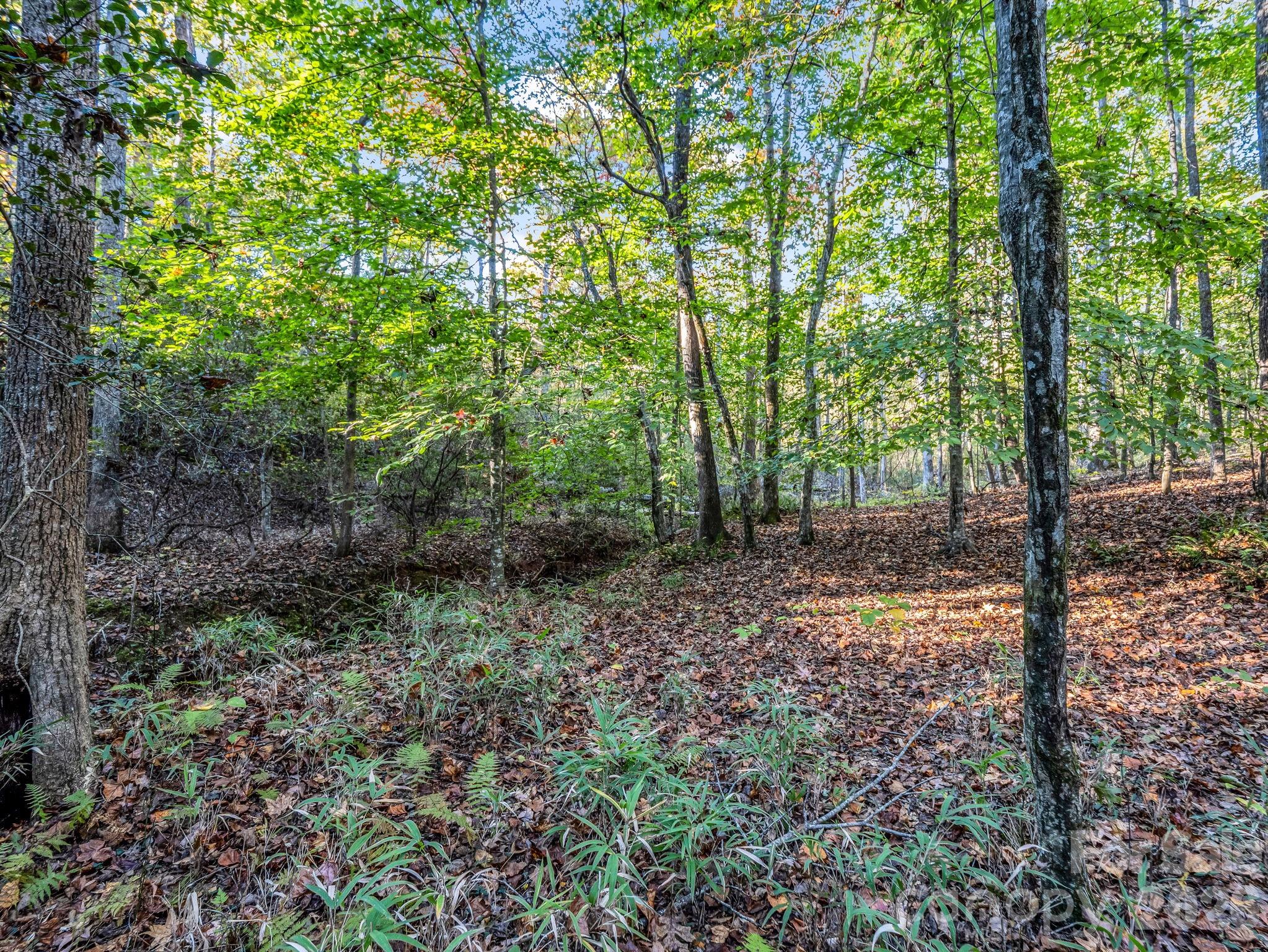 663 Landrum Road Property Photo 30
