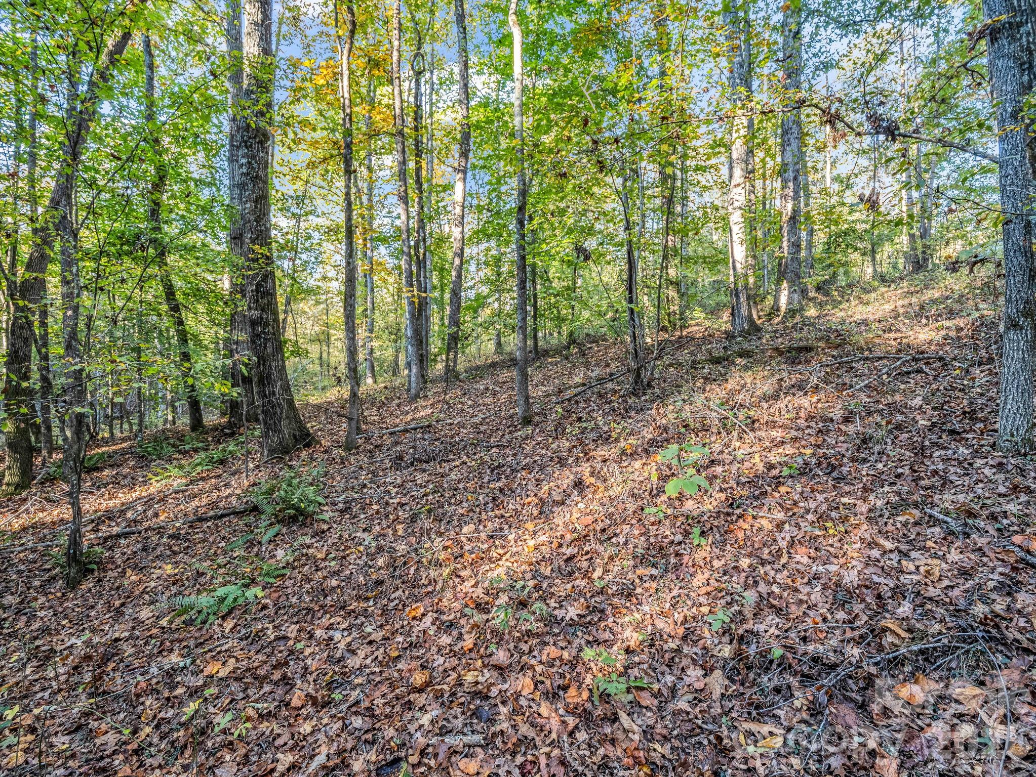 663 Landrum Road Property Photo 31
