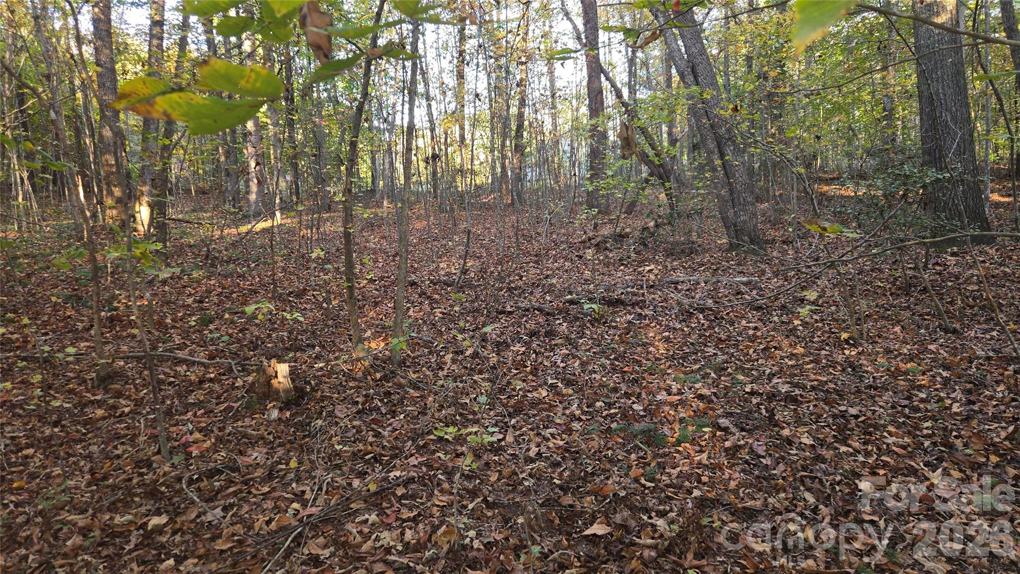 663 Landrum Road Property Photo 32