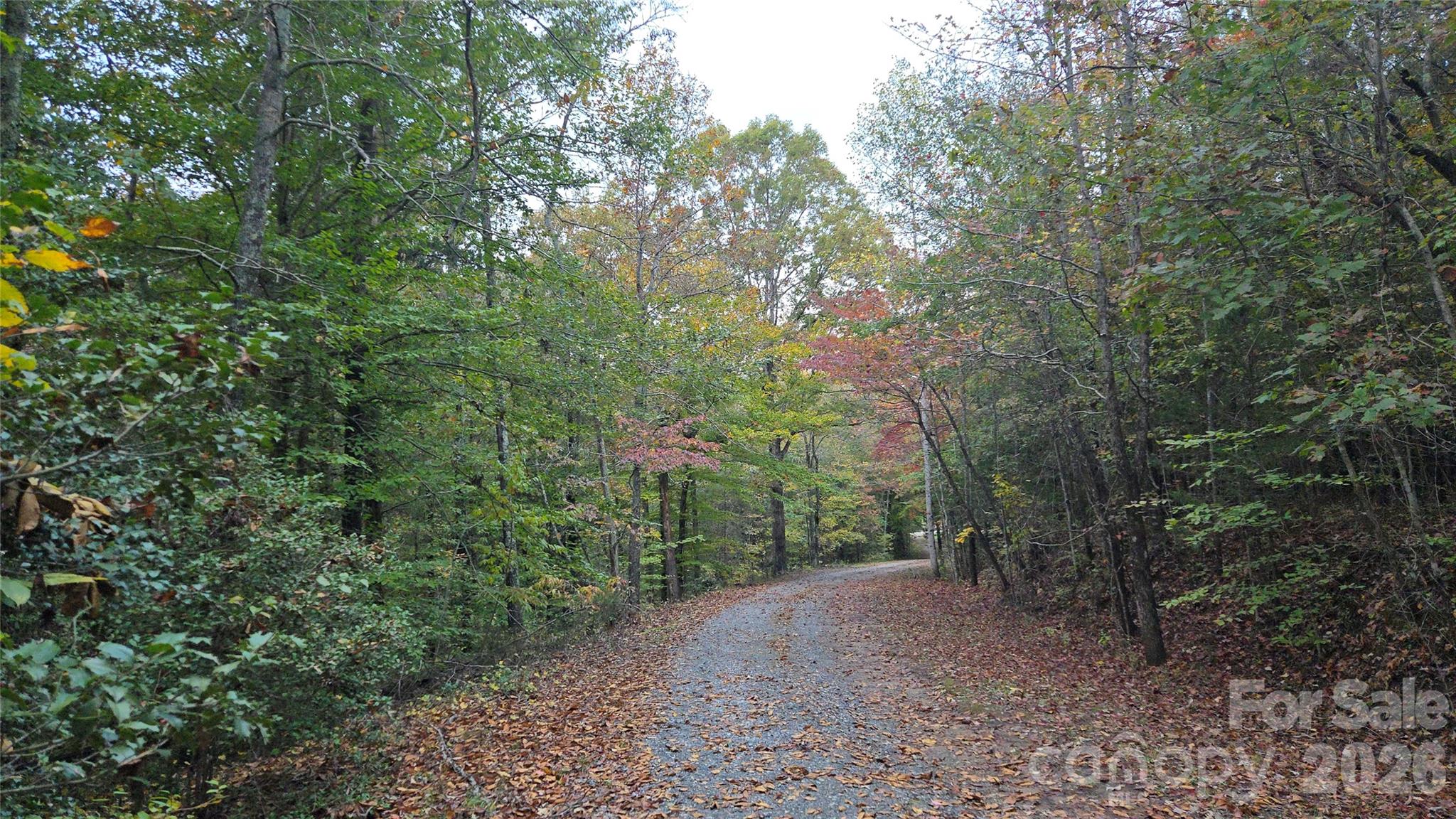 663 Landrum Road Property Photo 36