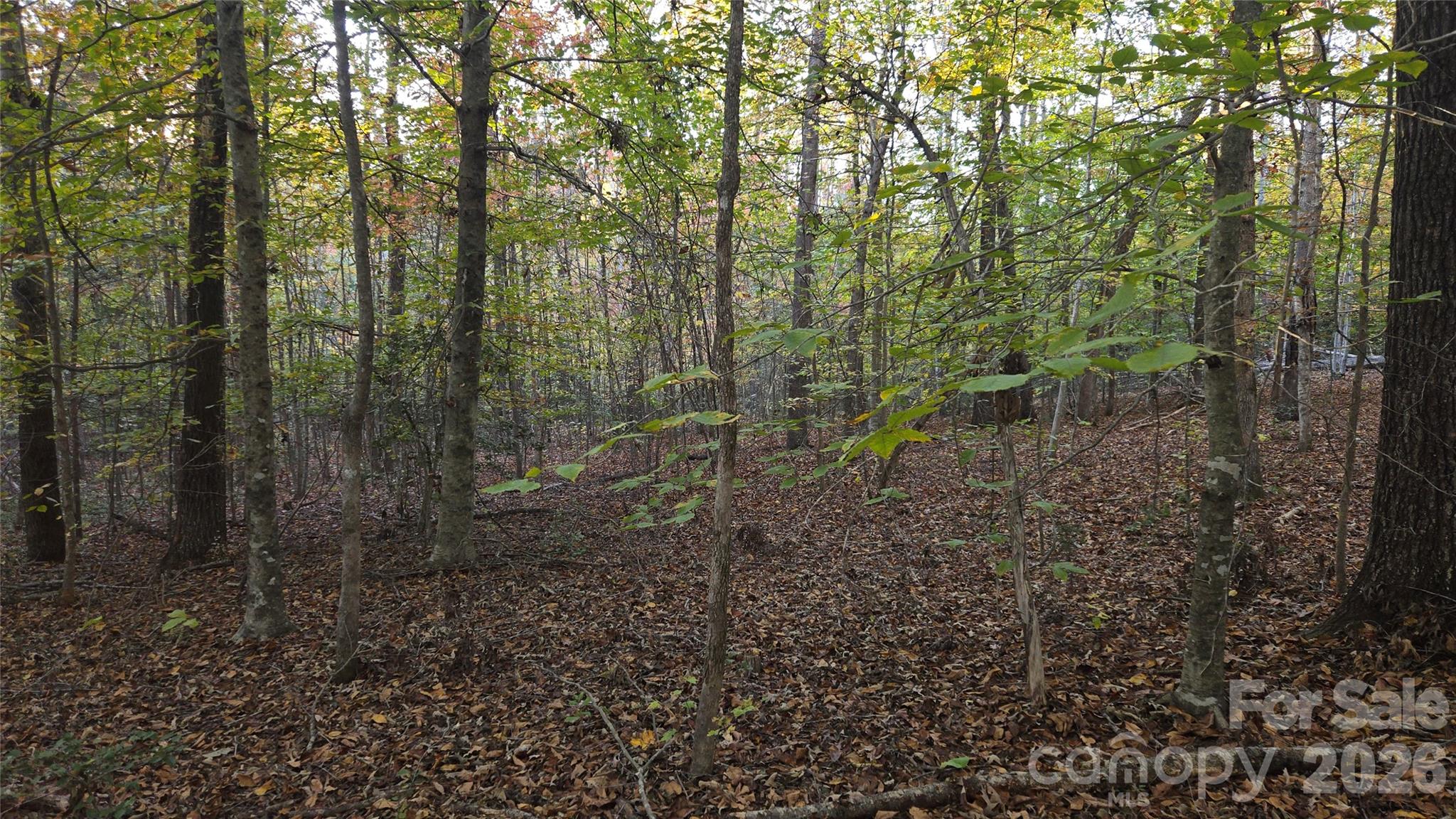 663 Landrum Road Property Photo 38