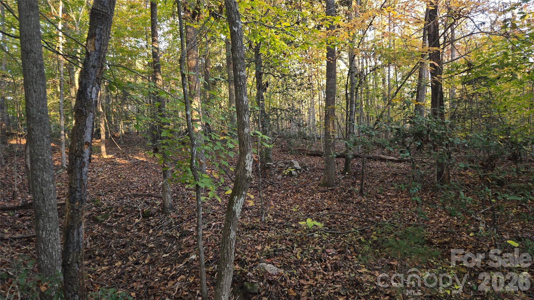 663 Landrum Road Property Photo 39