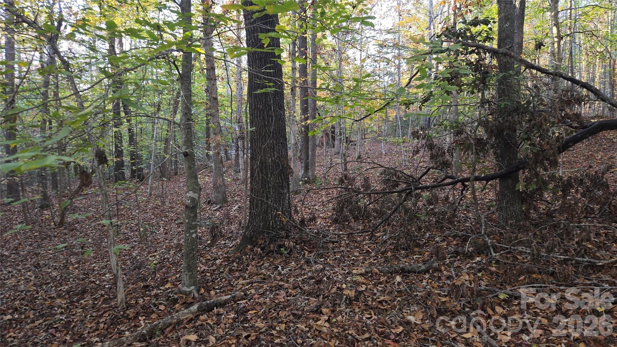 663 Landrum Road Property Photo 40