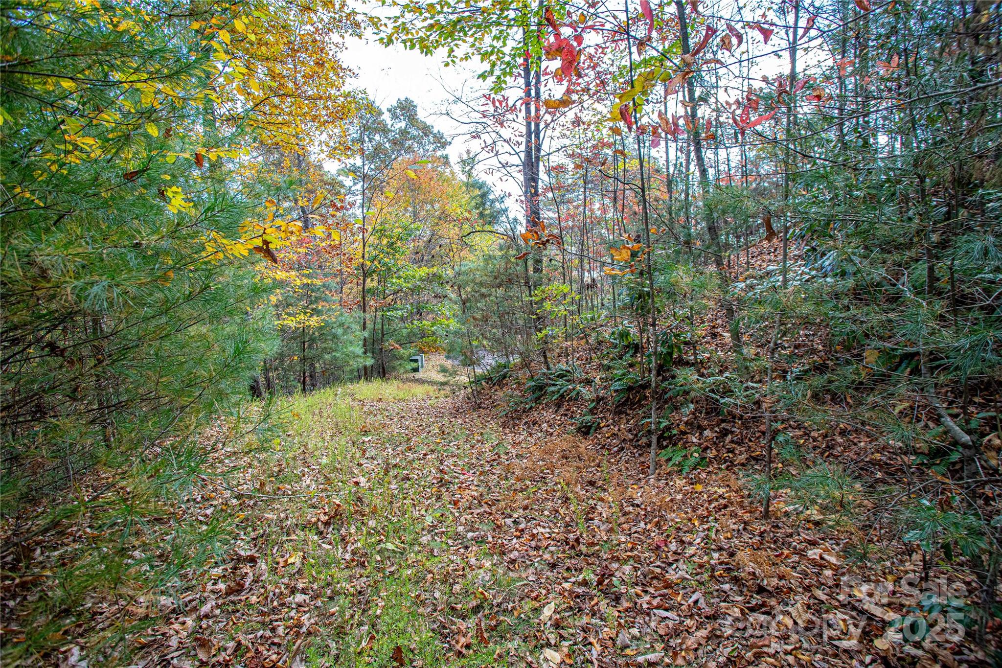 Tbd High Point Trail 21 Property Photo 8