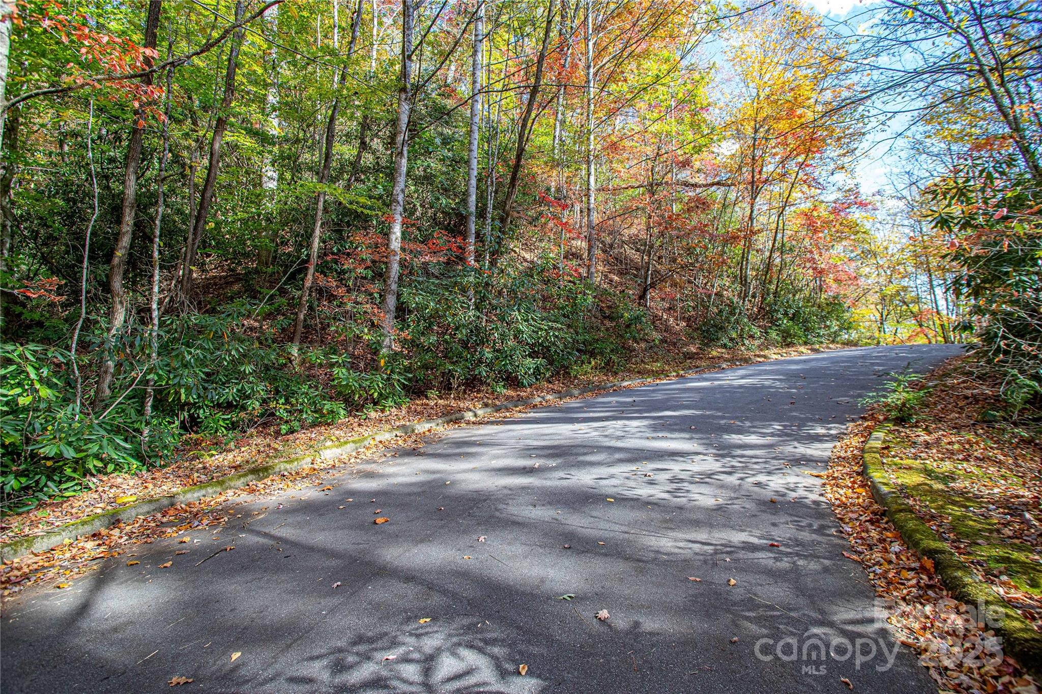 Tbd Stone Drive 11 Property Photo 1