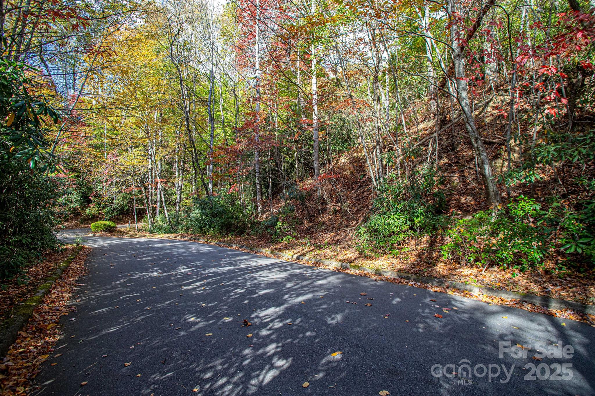 Tbd Stone Drive 11 Property Photo 2