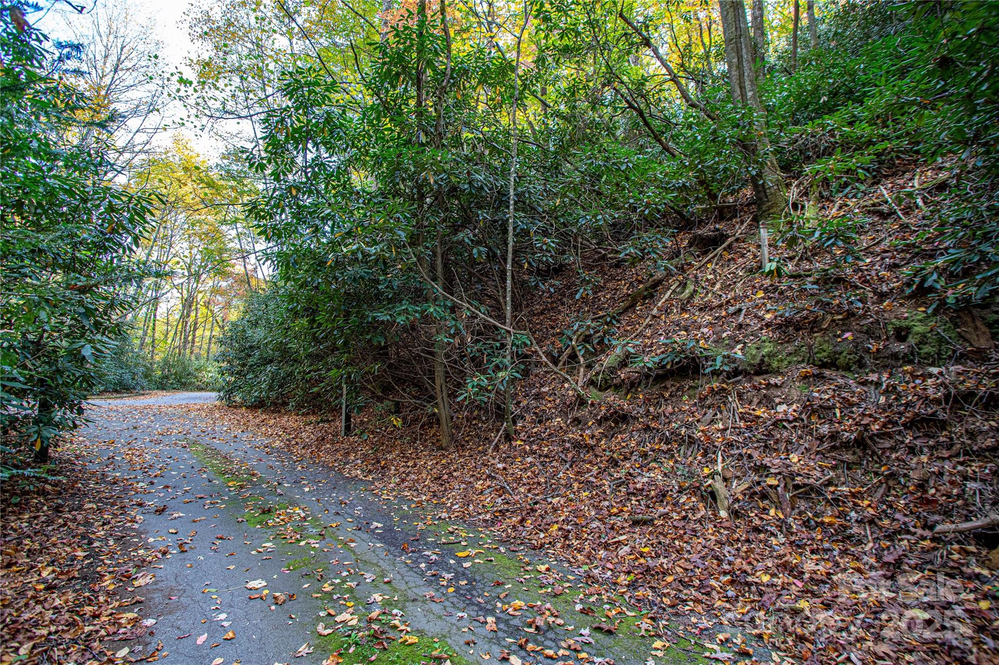 Tbd Stone Drive 13 Property Photo 8
