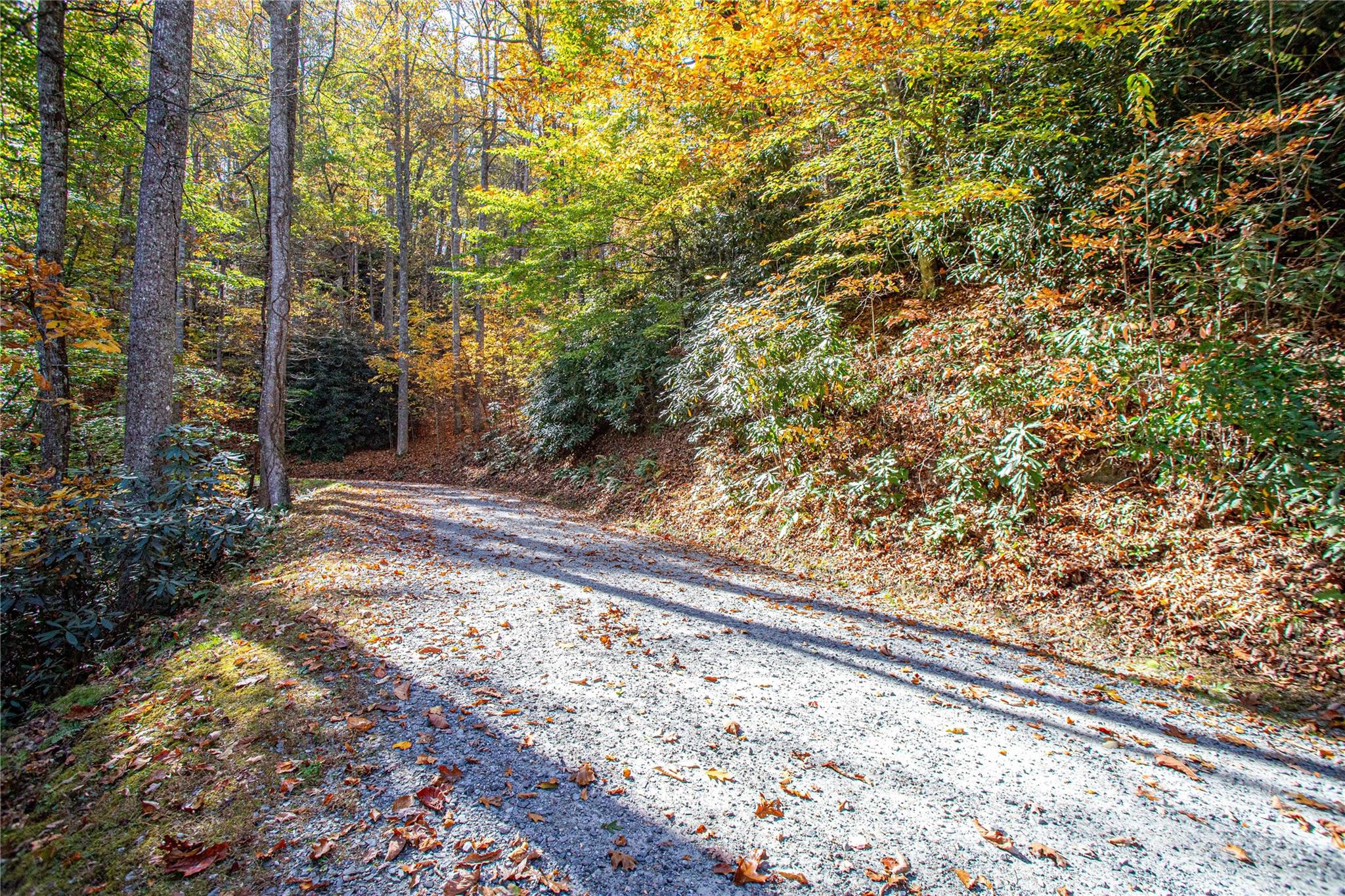 Tbd Reserve Road 9a Property Photo 1