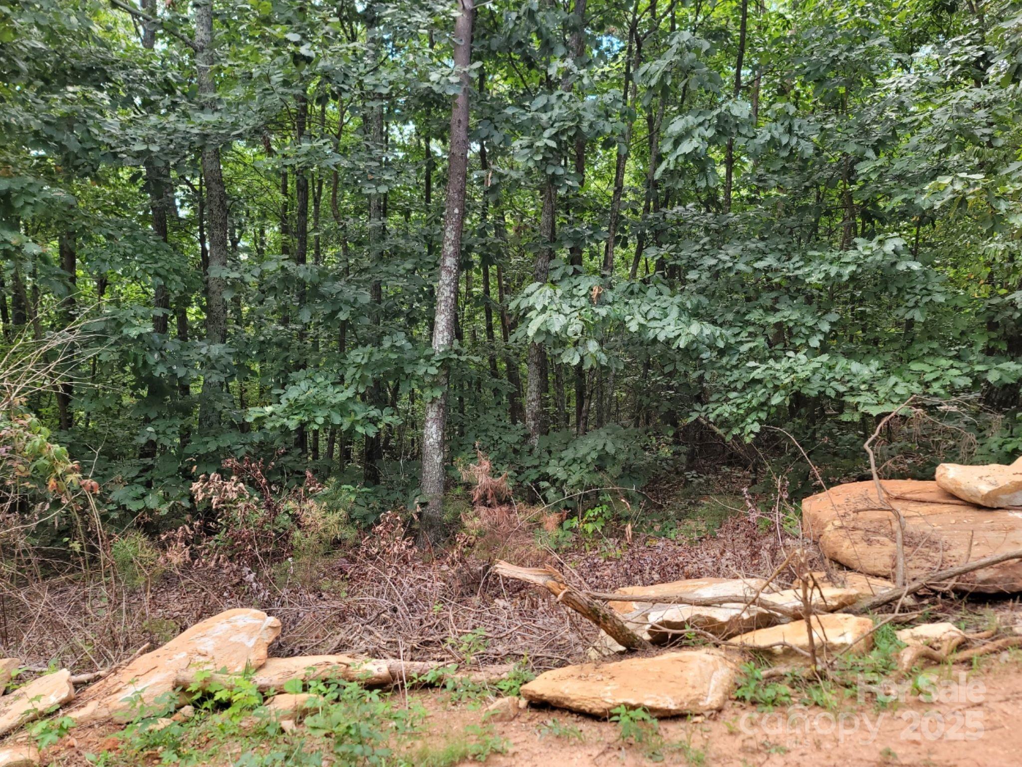 219 Judy Road Property Photo 1