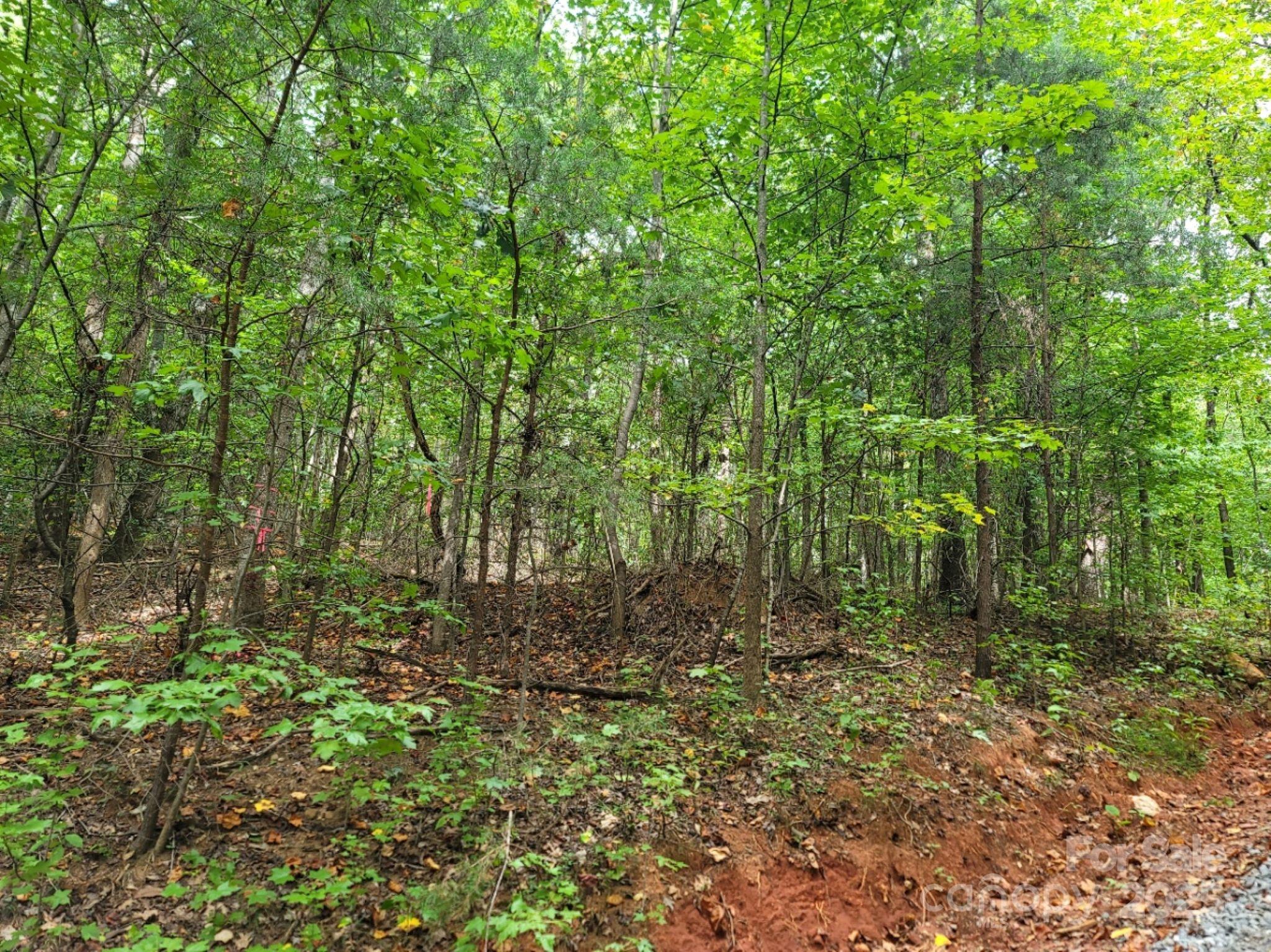 219 Judy Road Property Photo 3