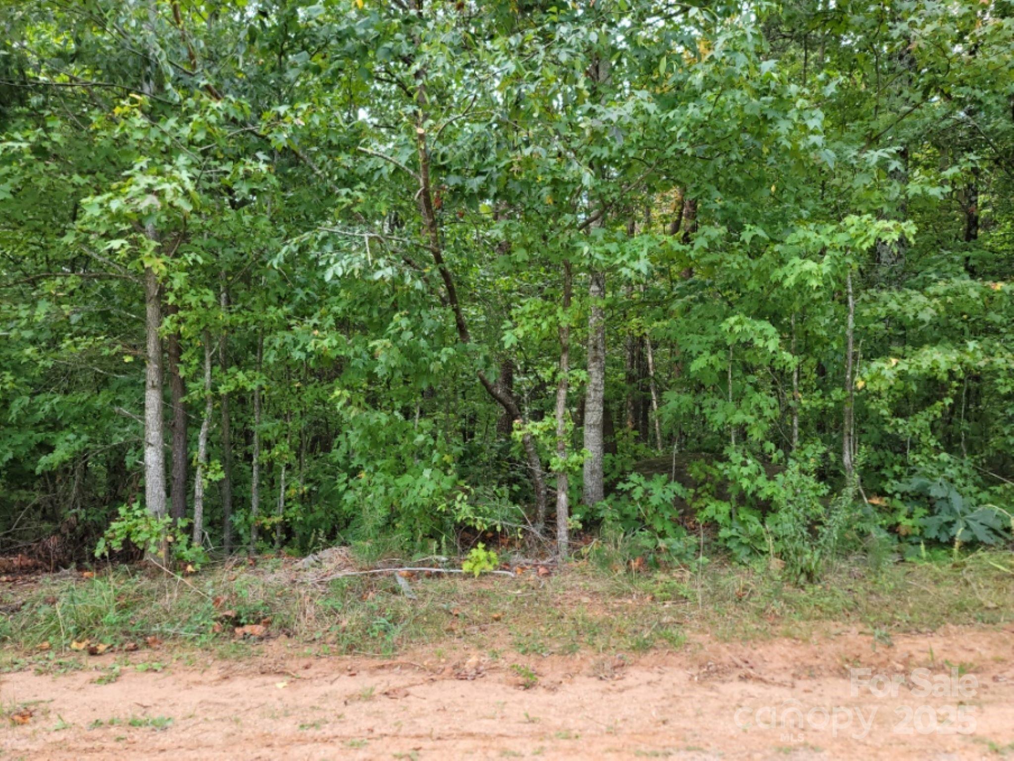 219 Judy Road Property Photo 8