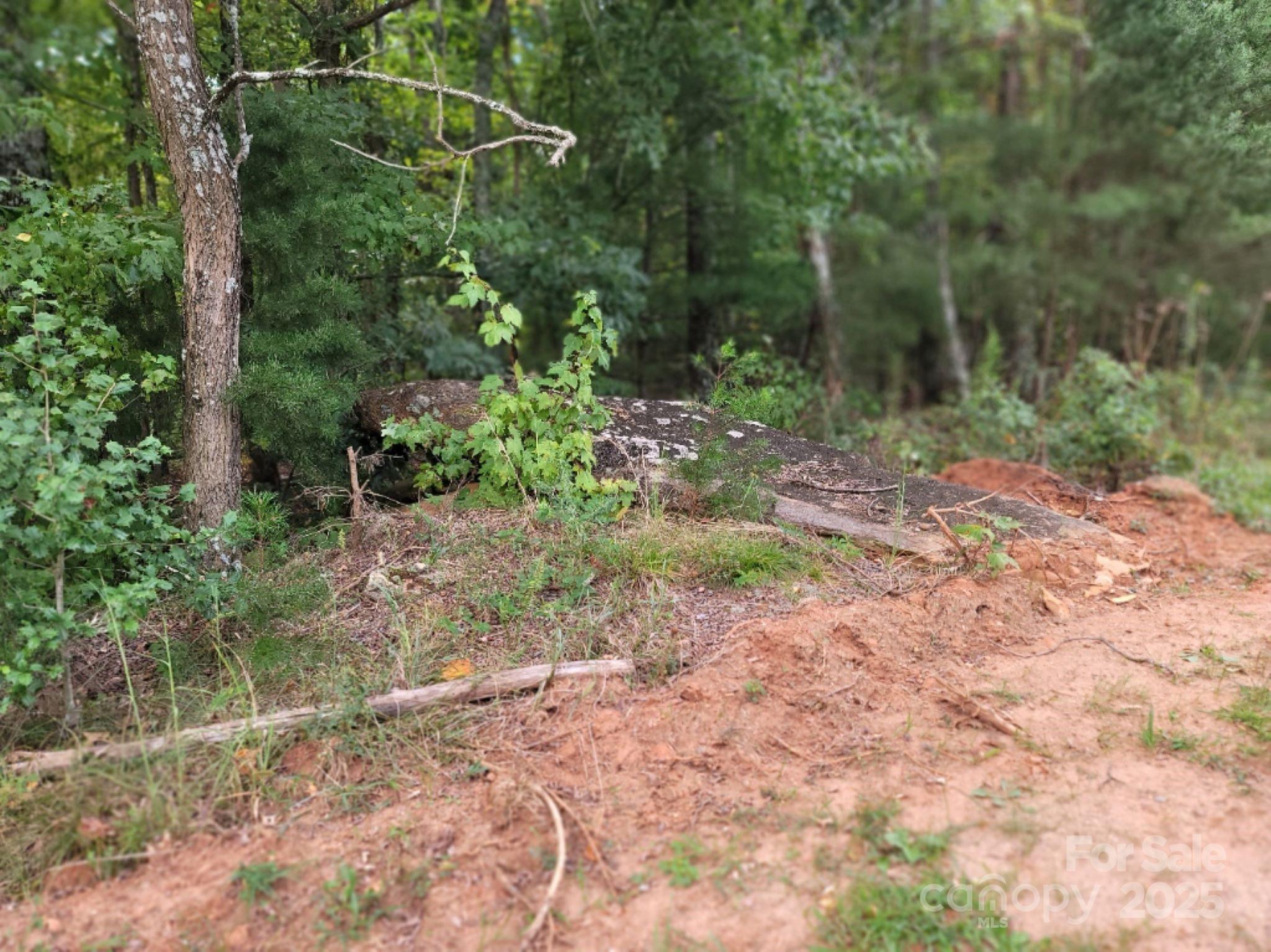 219 Judy Road Property Photo 10
