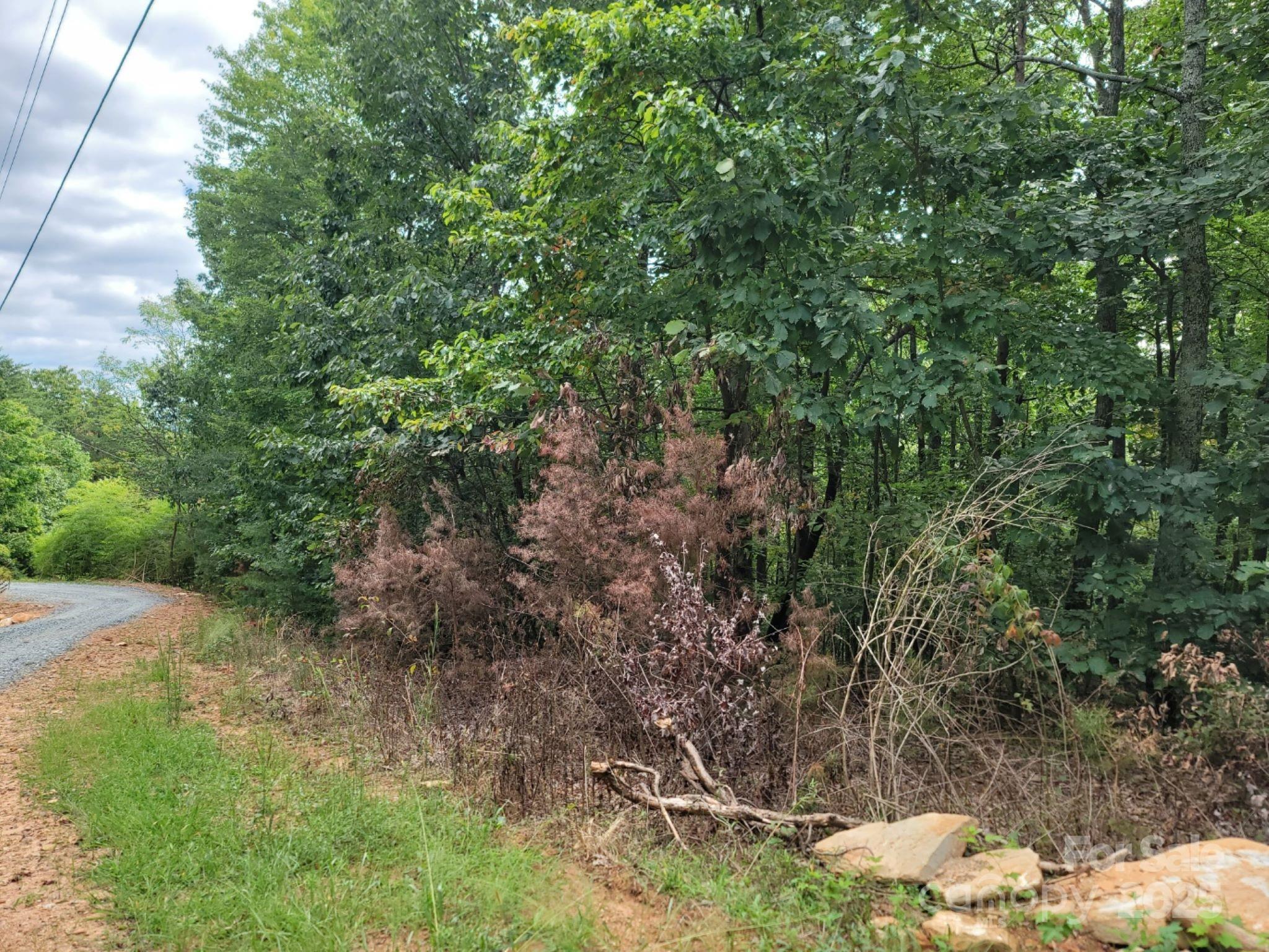 219 Judy Road Property Photo 11
