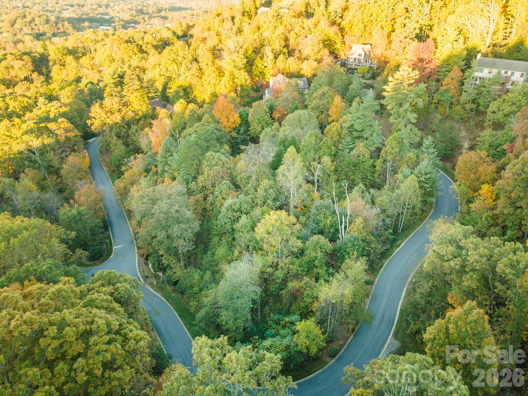 510 Sweetspire Ridge Property Photo 7