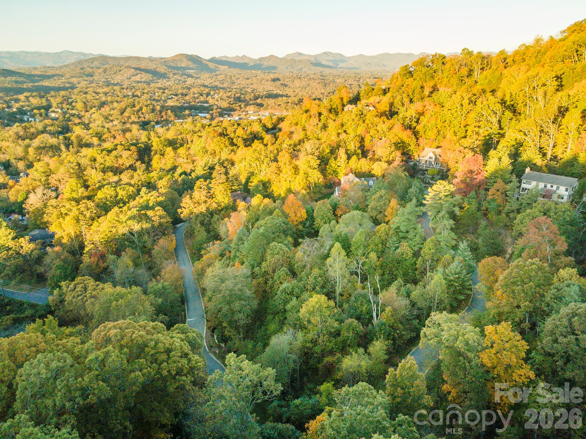 510 Sweetspire Ridge Property Photo 8
