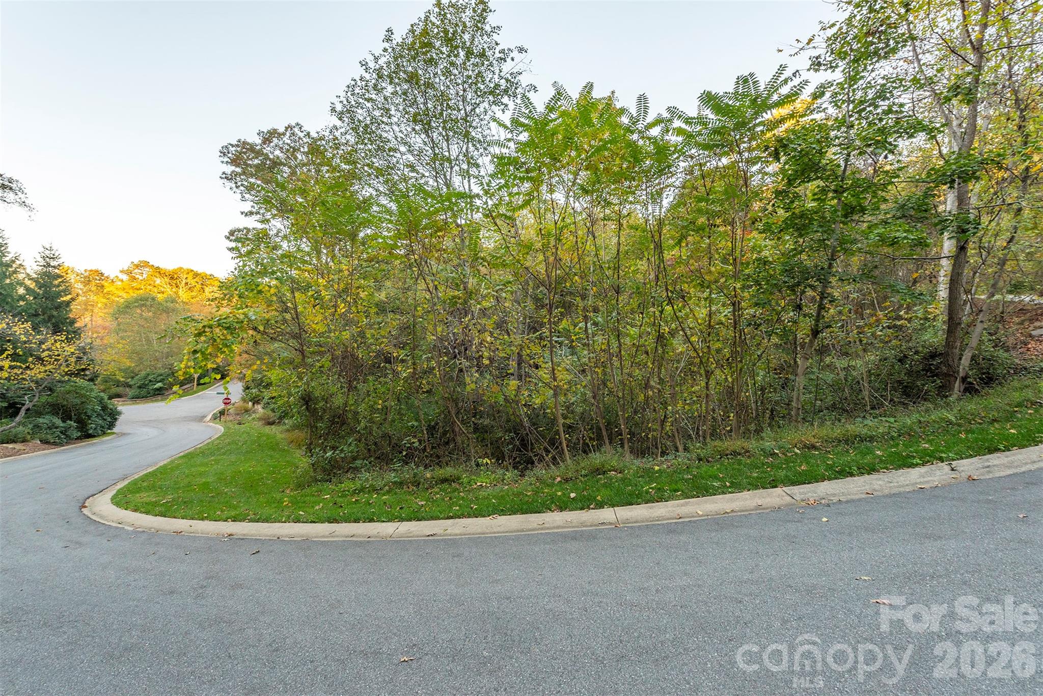 510 Sweetspire Ridge Property Photo 9