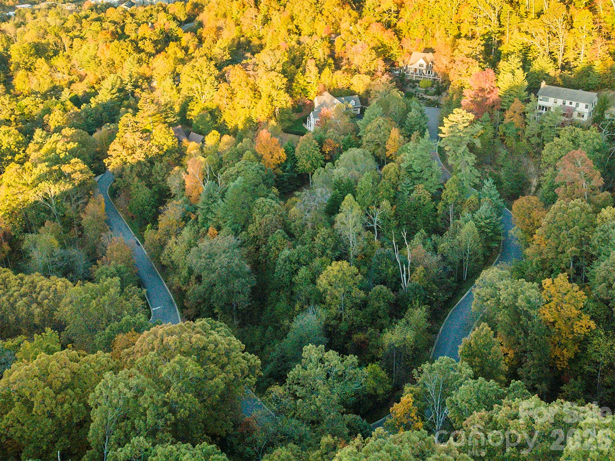 510 Sweetspire Ridge Property Photo 10