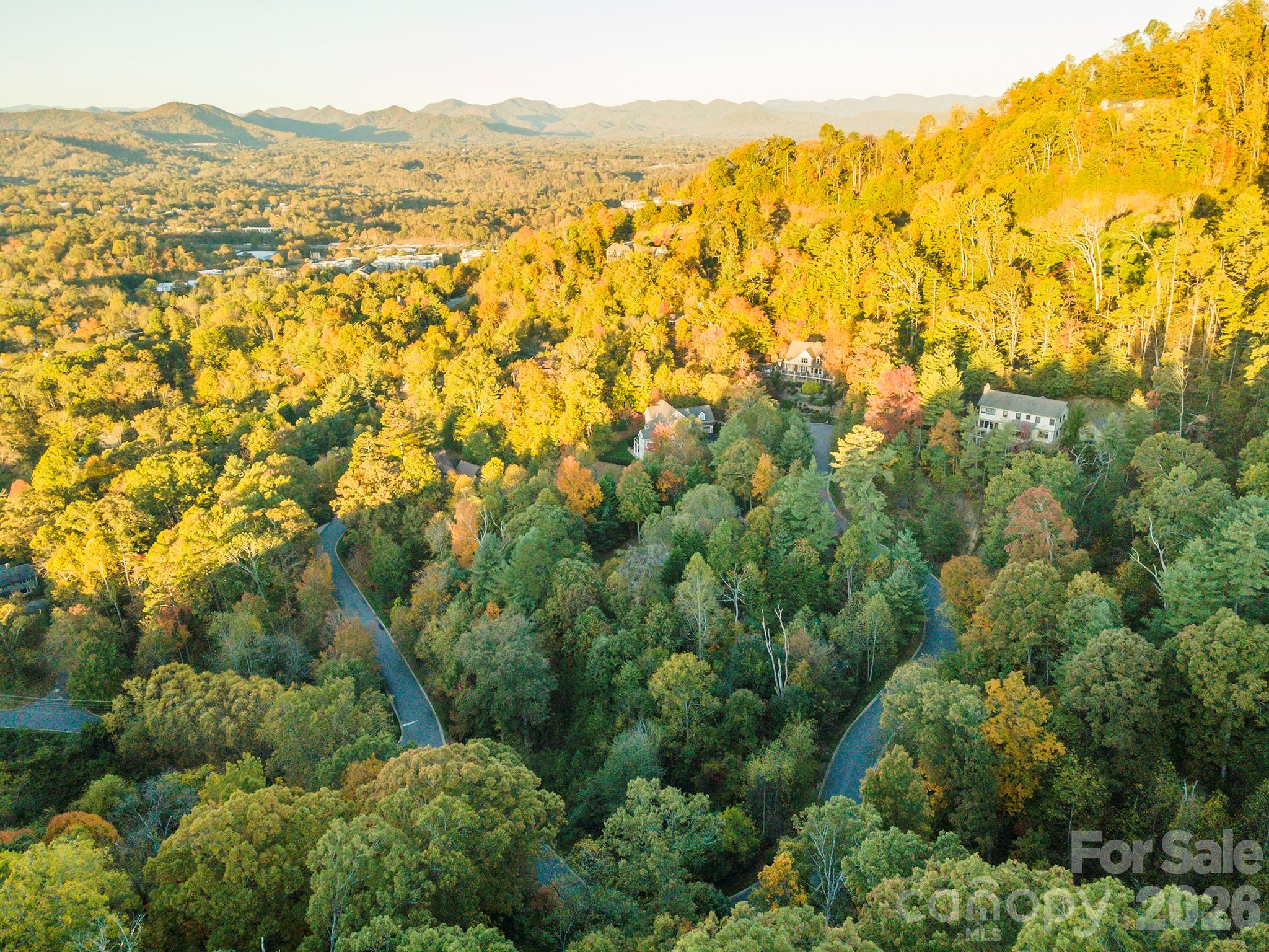 510 Sweetspire Ridge Property Photo 11
