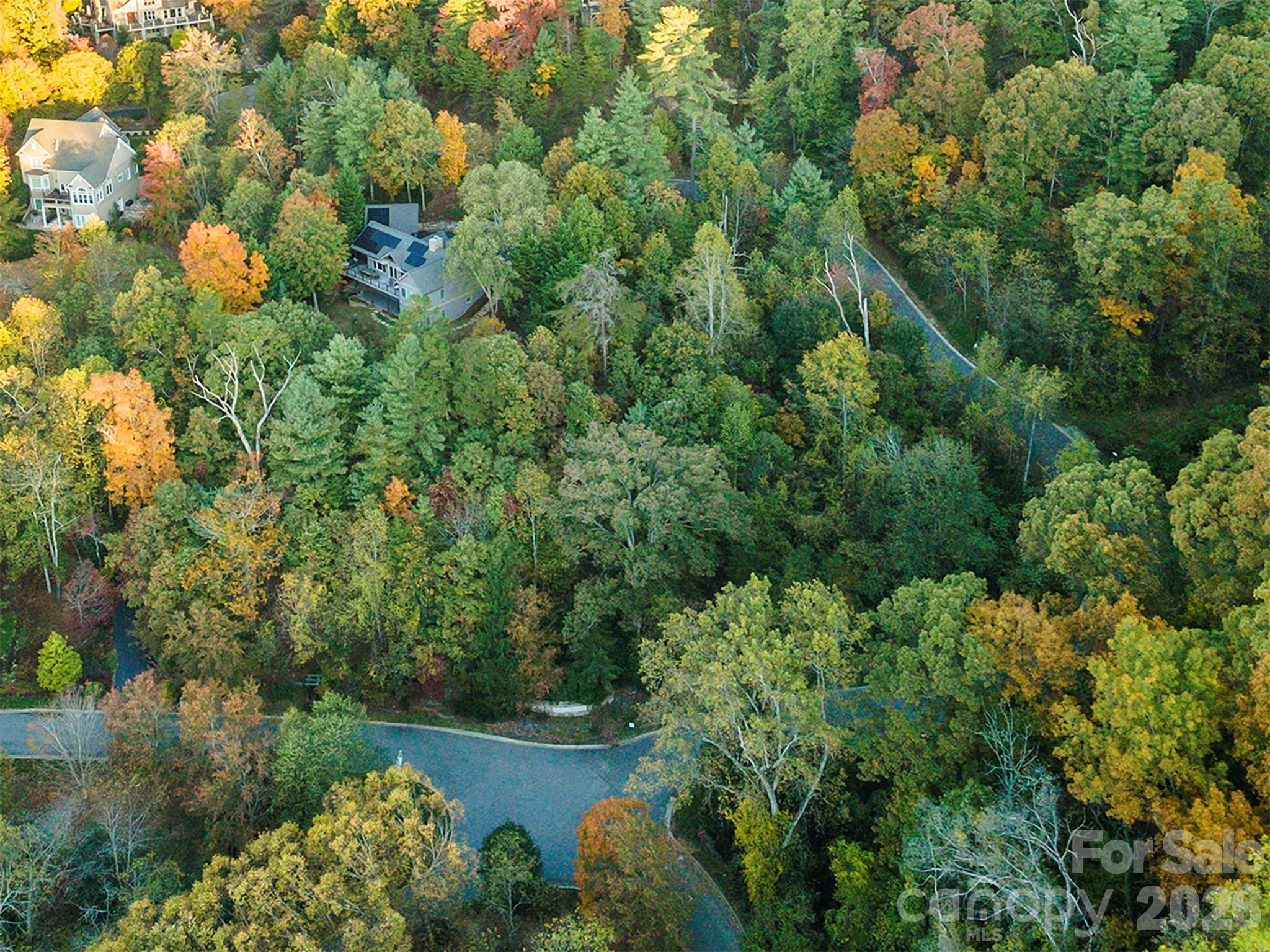 510 Sweetspire Ridge Property Photo 12