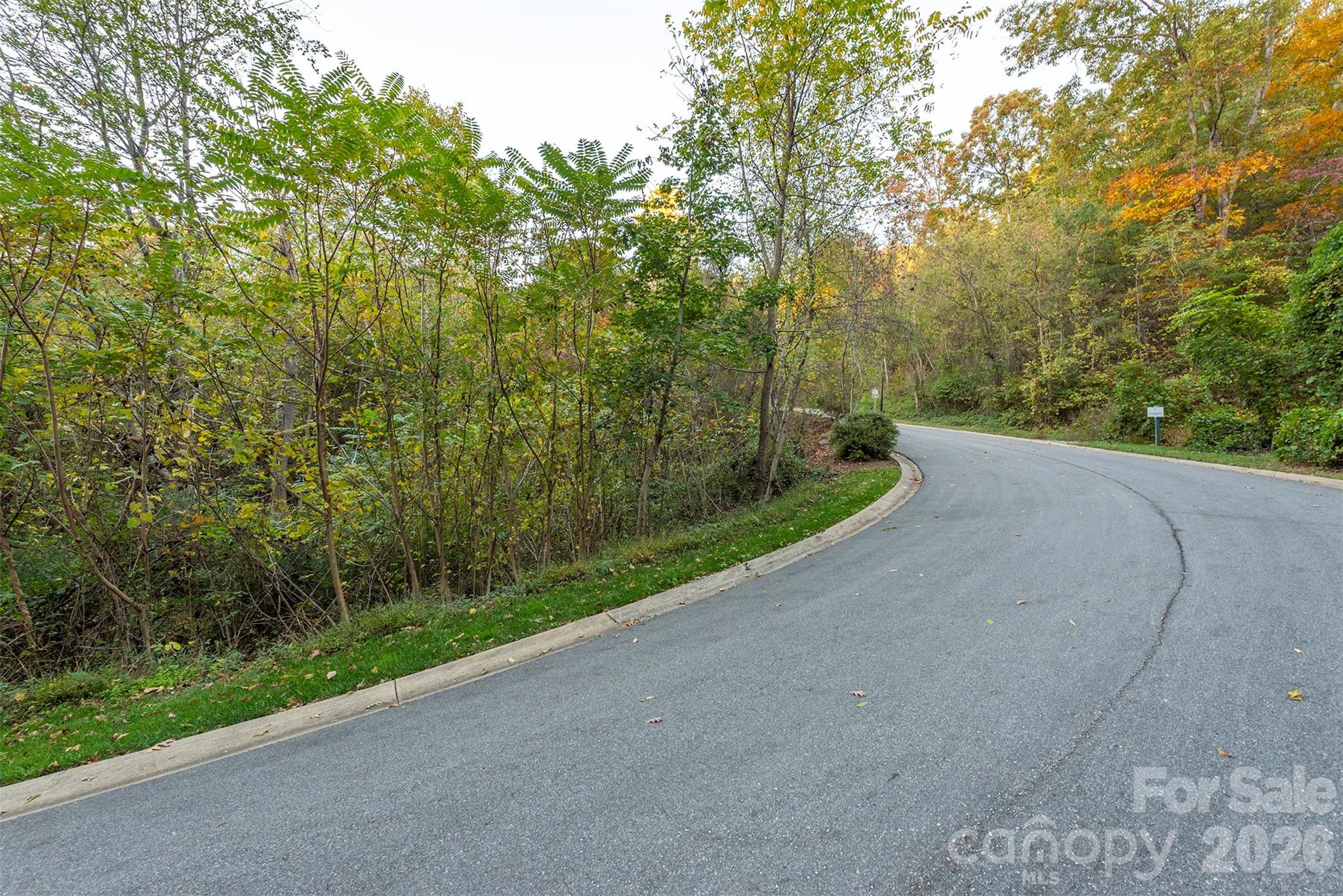 510 Sweetspire Ridge Property Photo 13