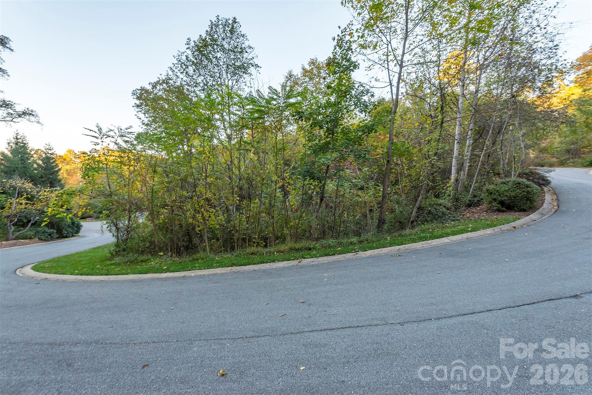 510 Sweetspire Ridge Property Photo 17