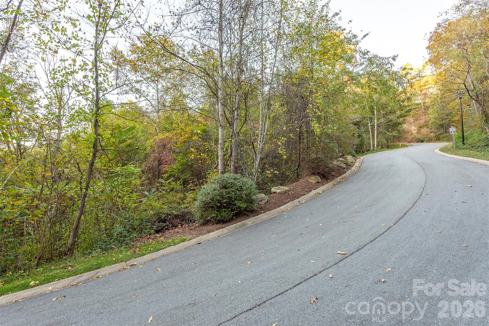 510 Sweetspire Ridge Property Photo 18