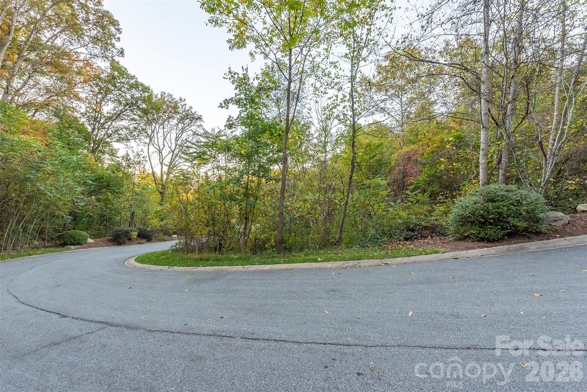 510 Sweetspire Ridge Property Photo 19