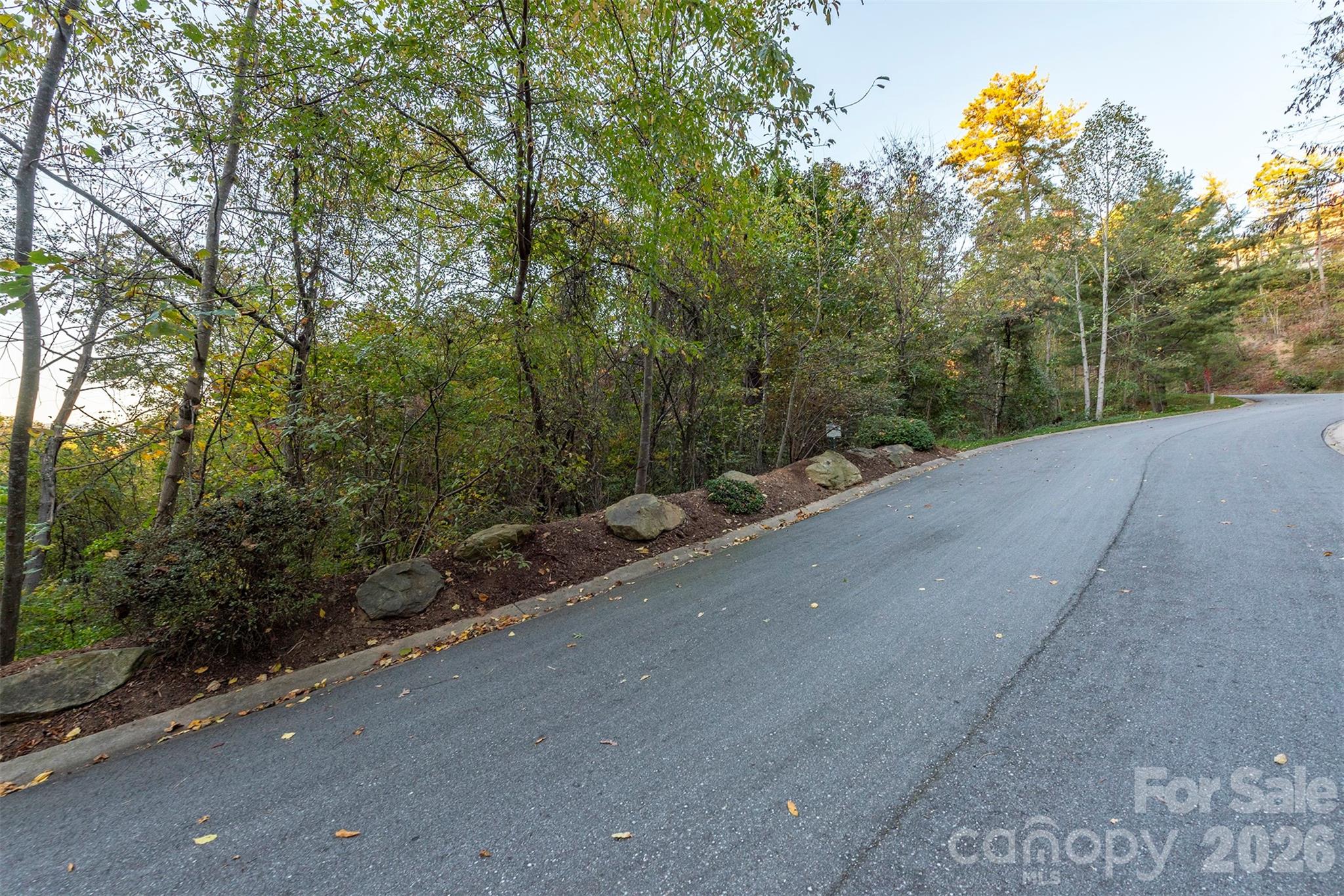 510 Sweetspire Ridge Property Photo 20