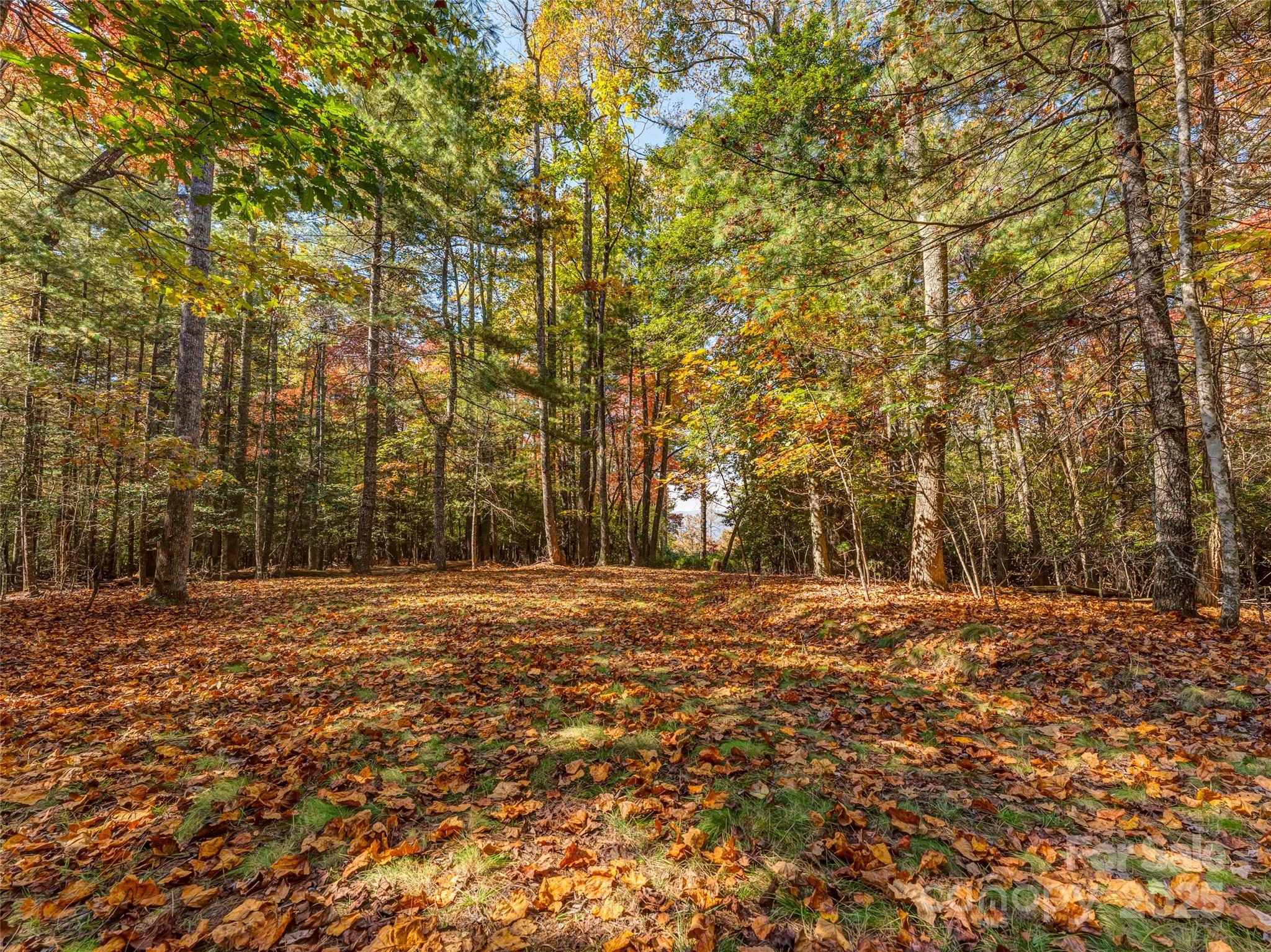 3314 Reserve Road Property Photo 3