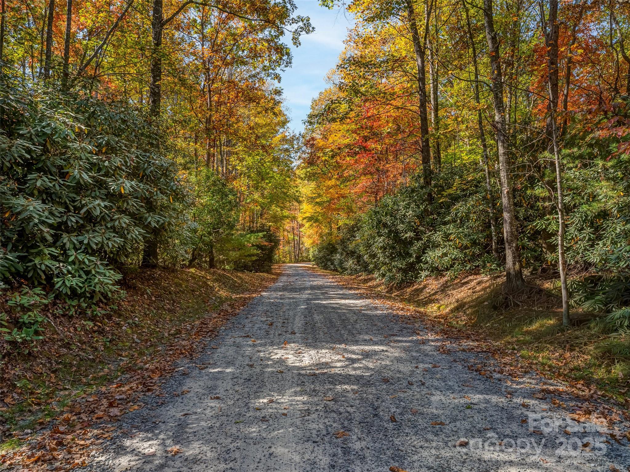 3314 Reserve Road Property Photo 6