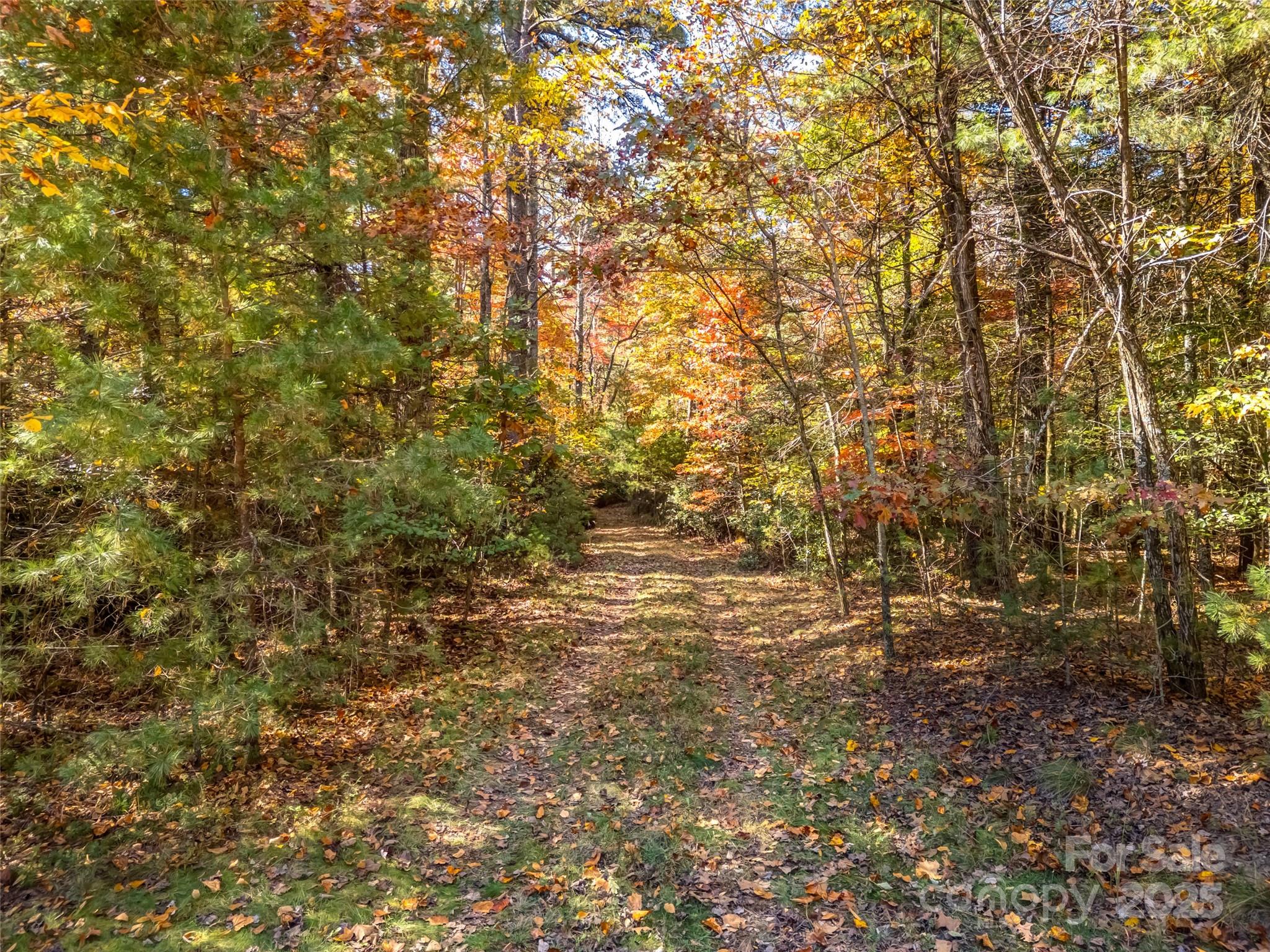 3314 Reserve Road Property Photo 7