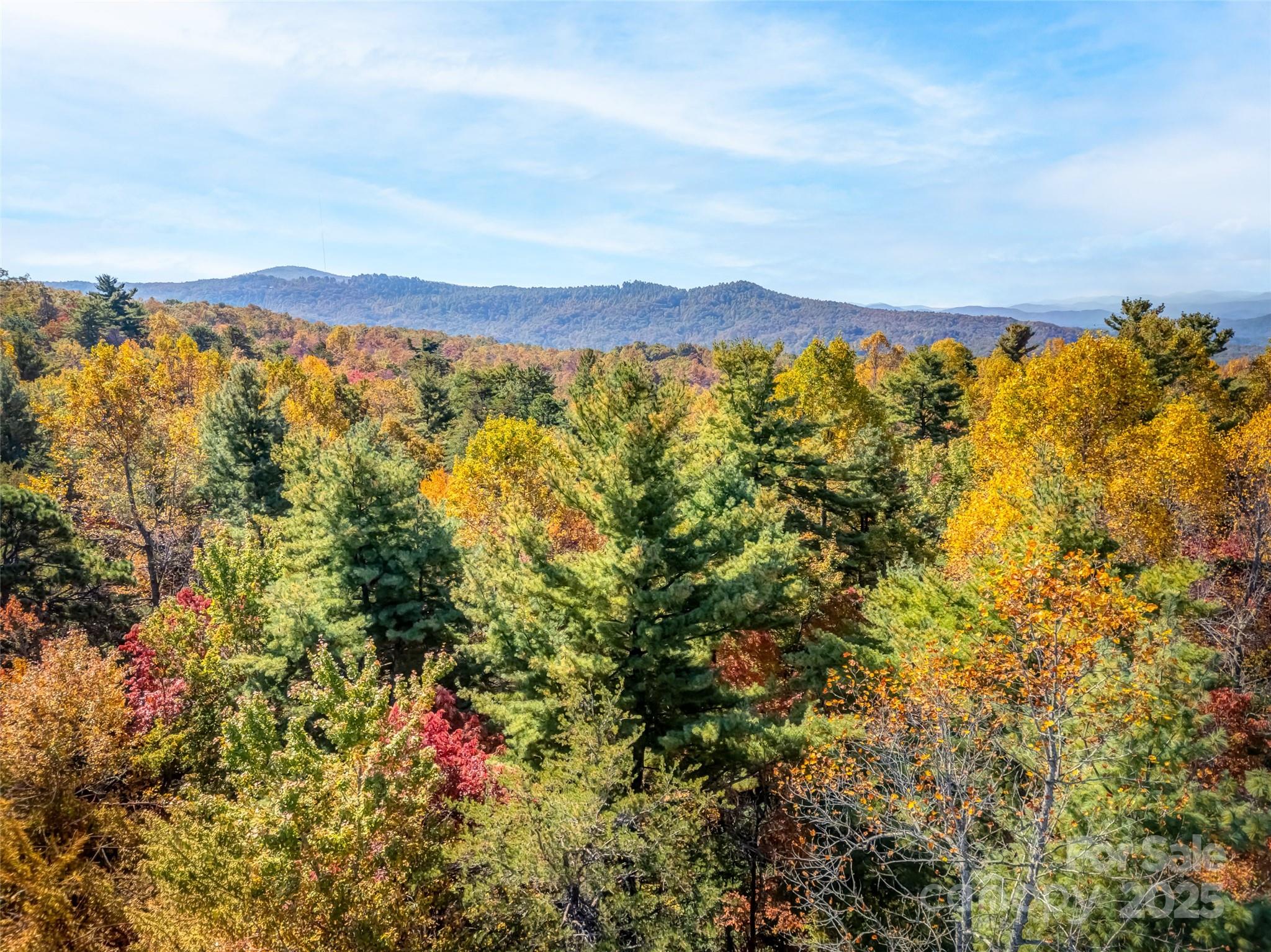 3314 Reserve Road Property Photo 8