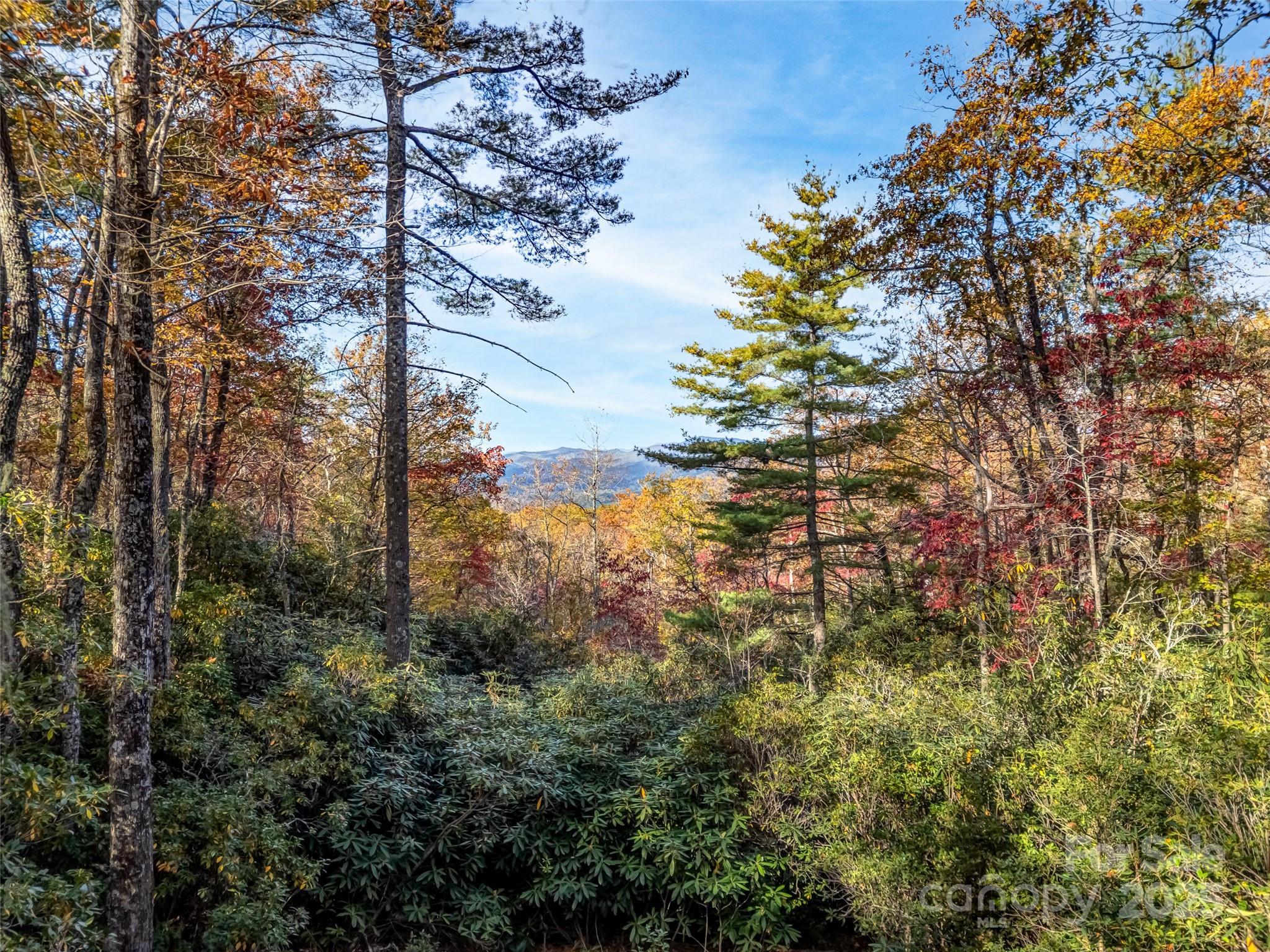 3314 Reserve Road Property Photo 9