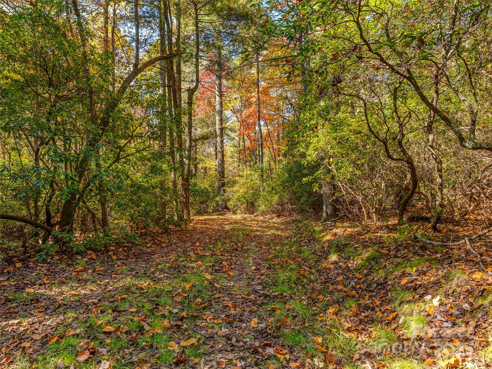 3314 Reserve Road Property Photo 10