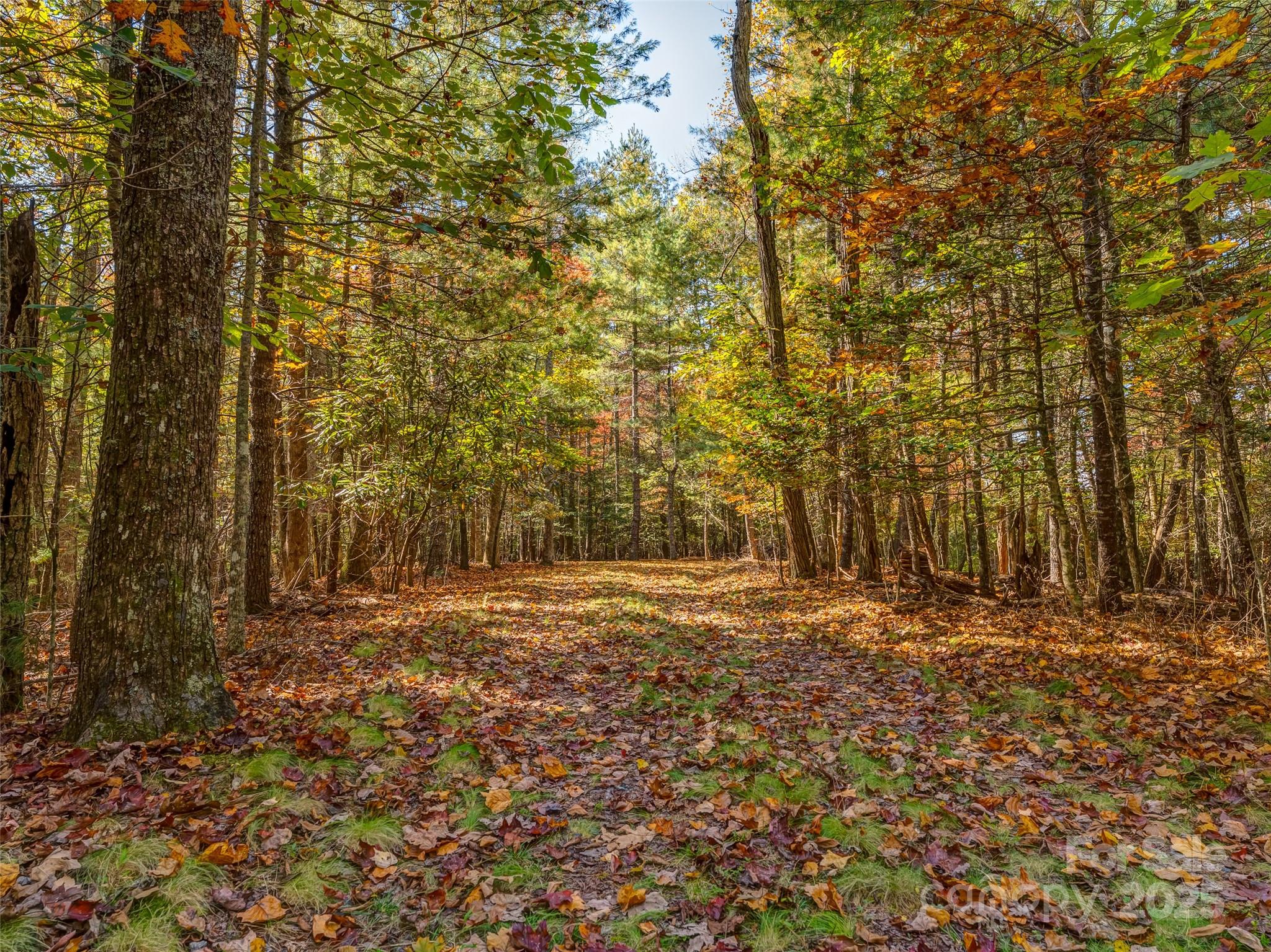 3314 Reserve Road Property Photo 11