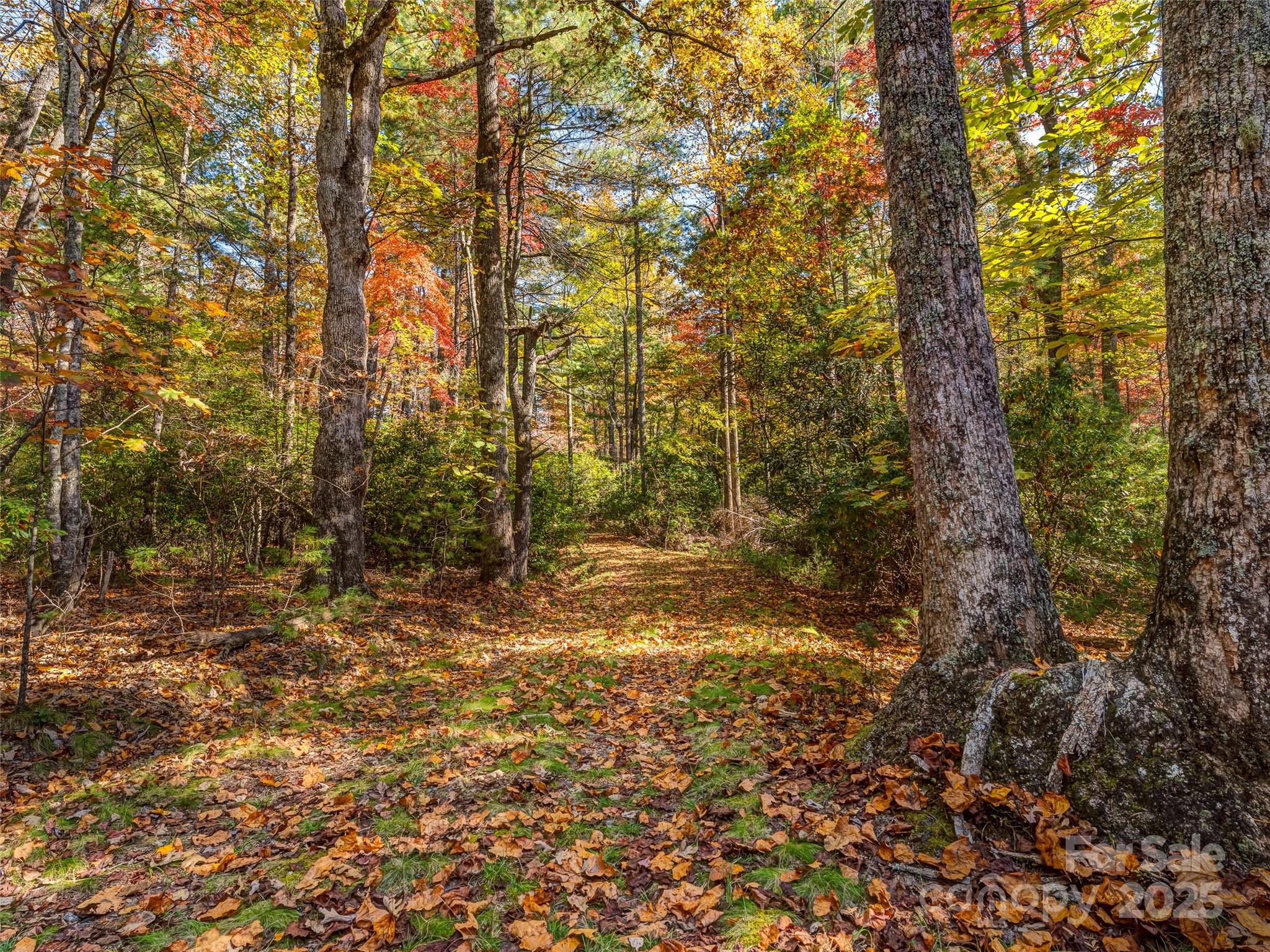 3314 Reserve Road Property Photo 12