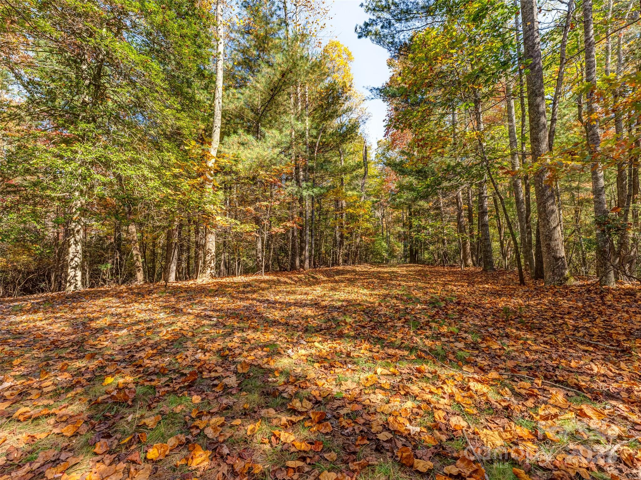 3314 Reserve Road Property Photo 13