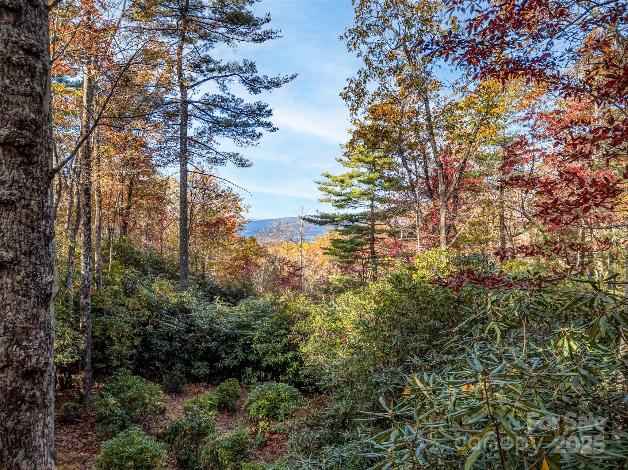 3314 Reserve Road Property Photo 15