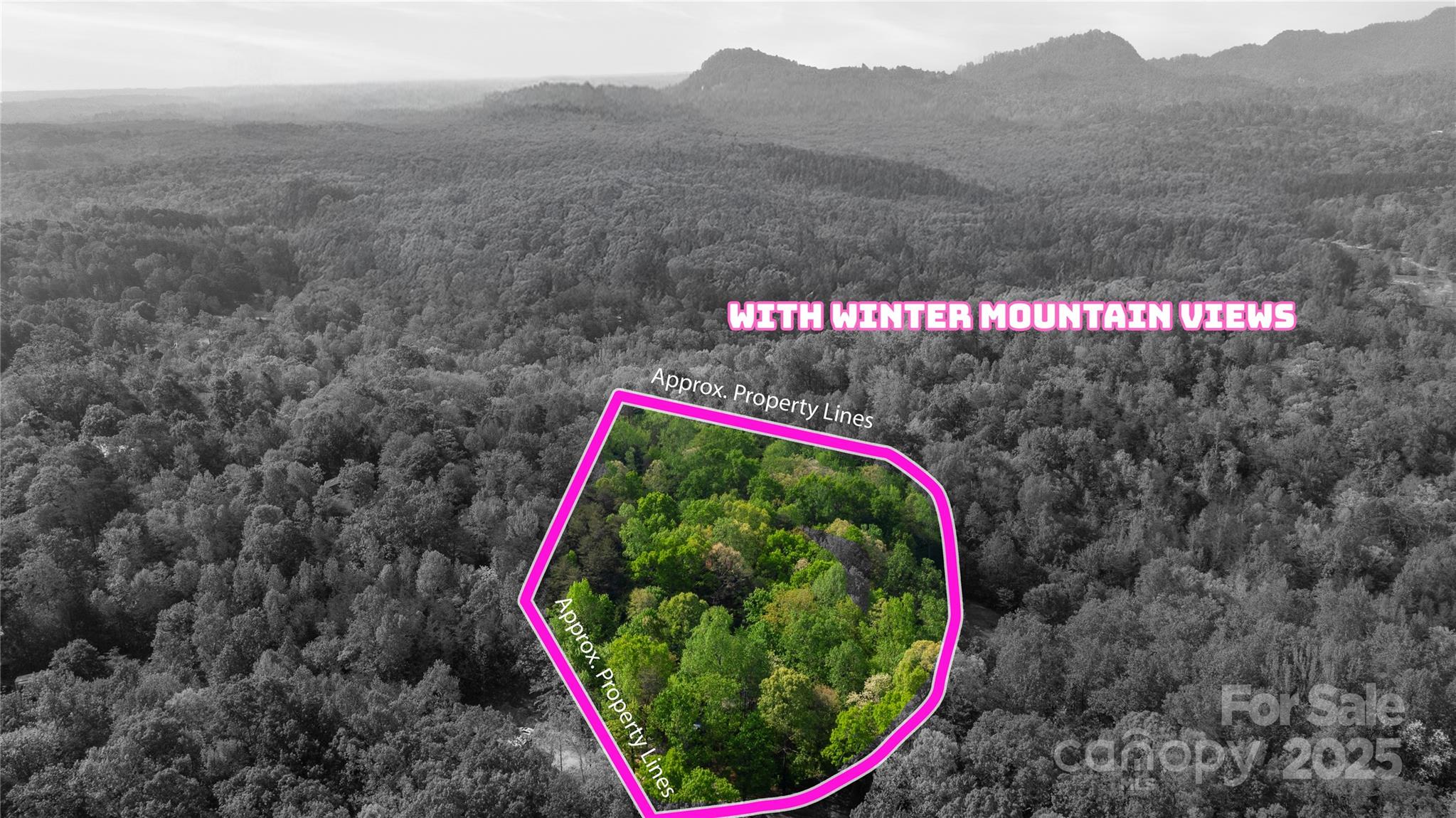 447 Cherokee Circle Property Photo 7