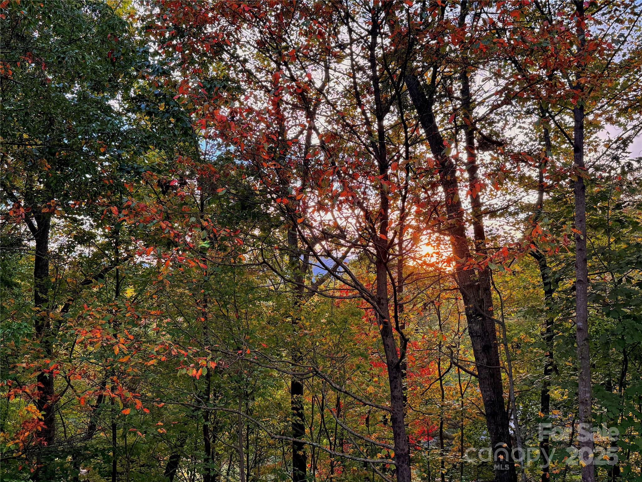 447 Cherokee Circle Property Photo 8