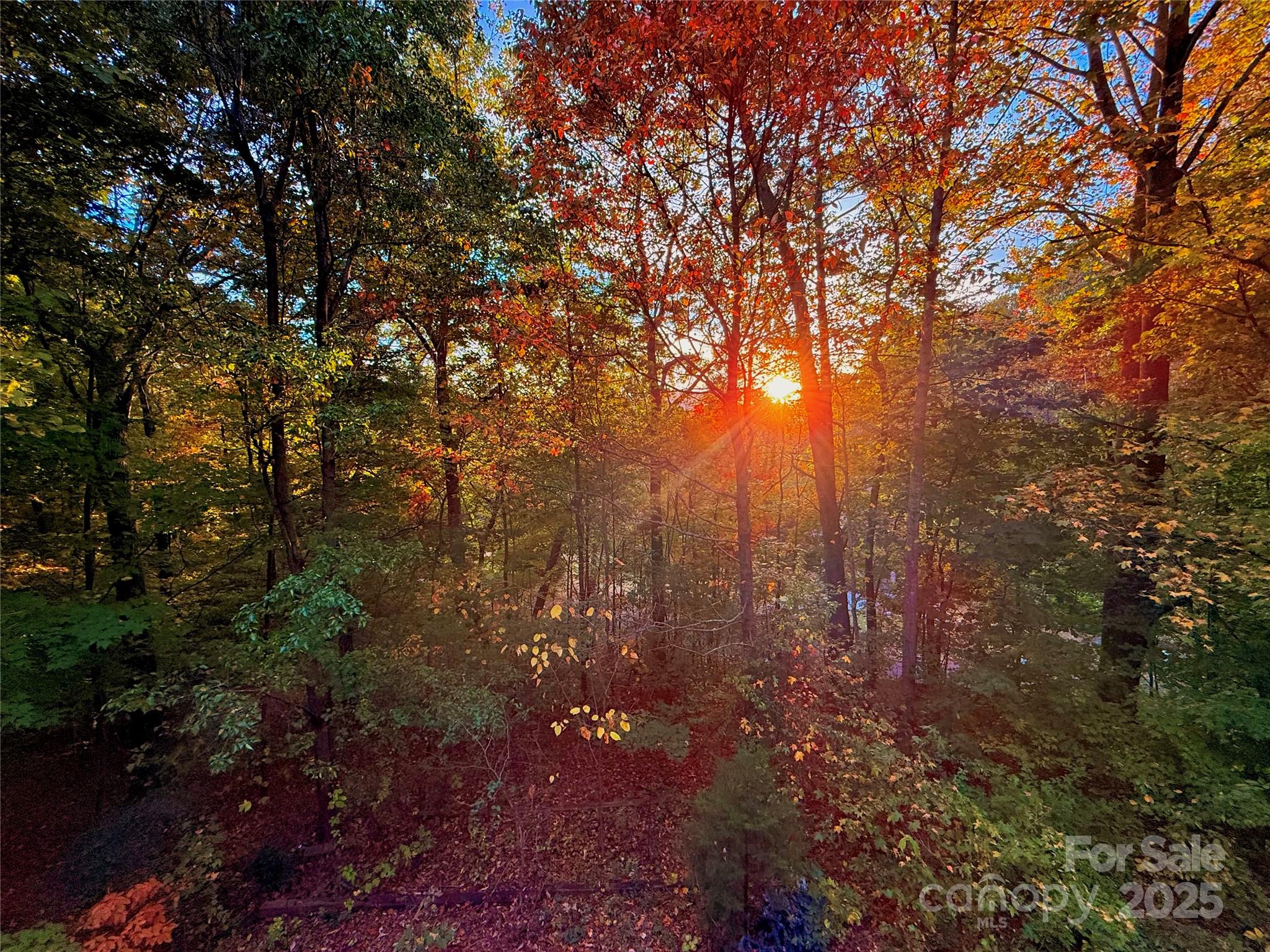 447 Cherokee Circle Property Photo 36