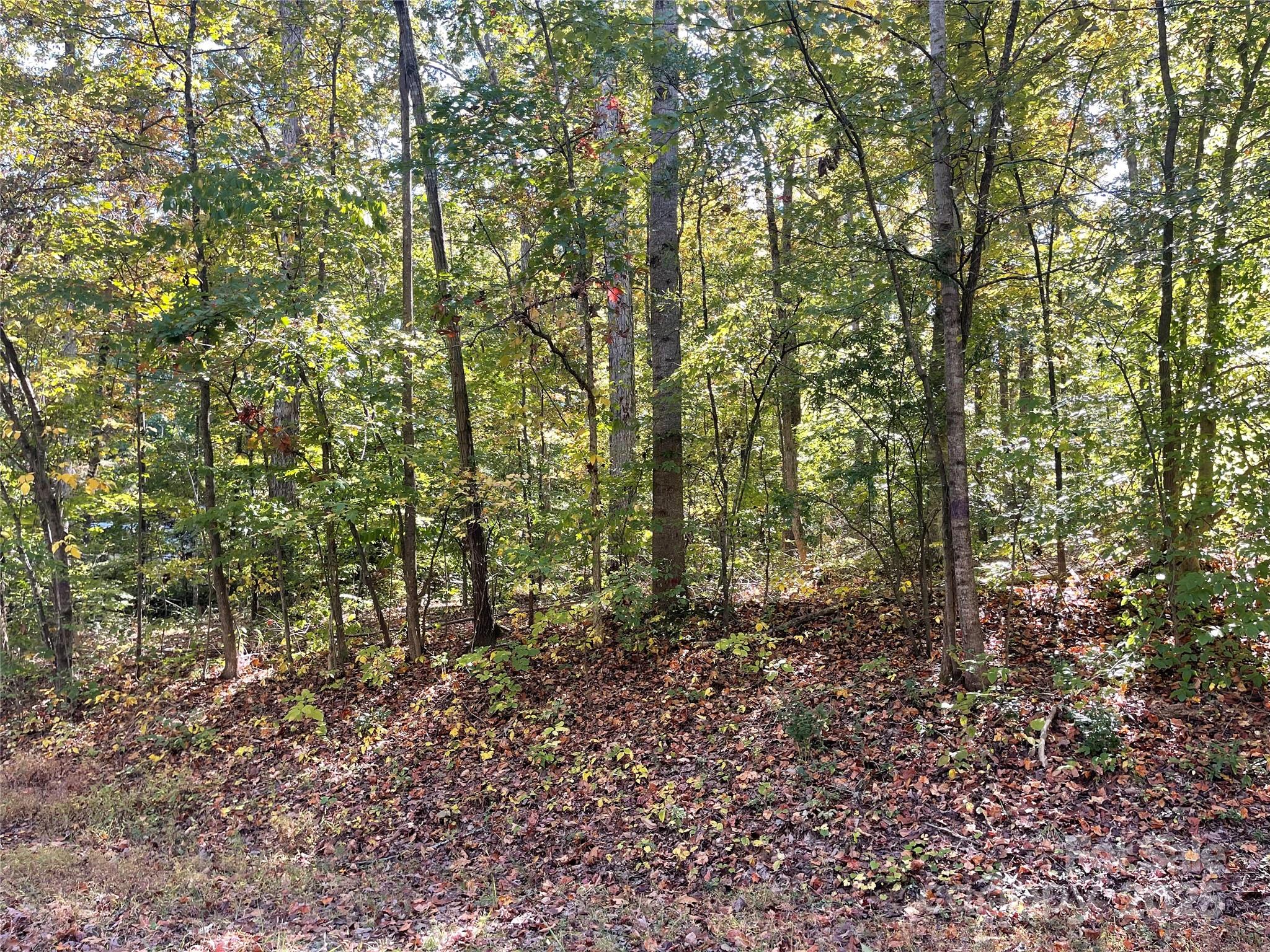 00 Heather Lane Property Photo 2